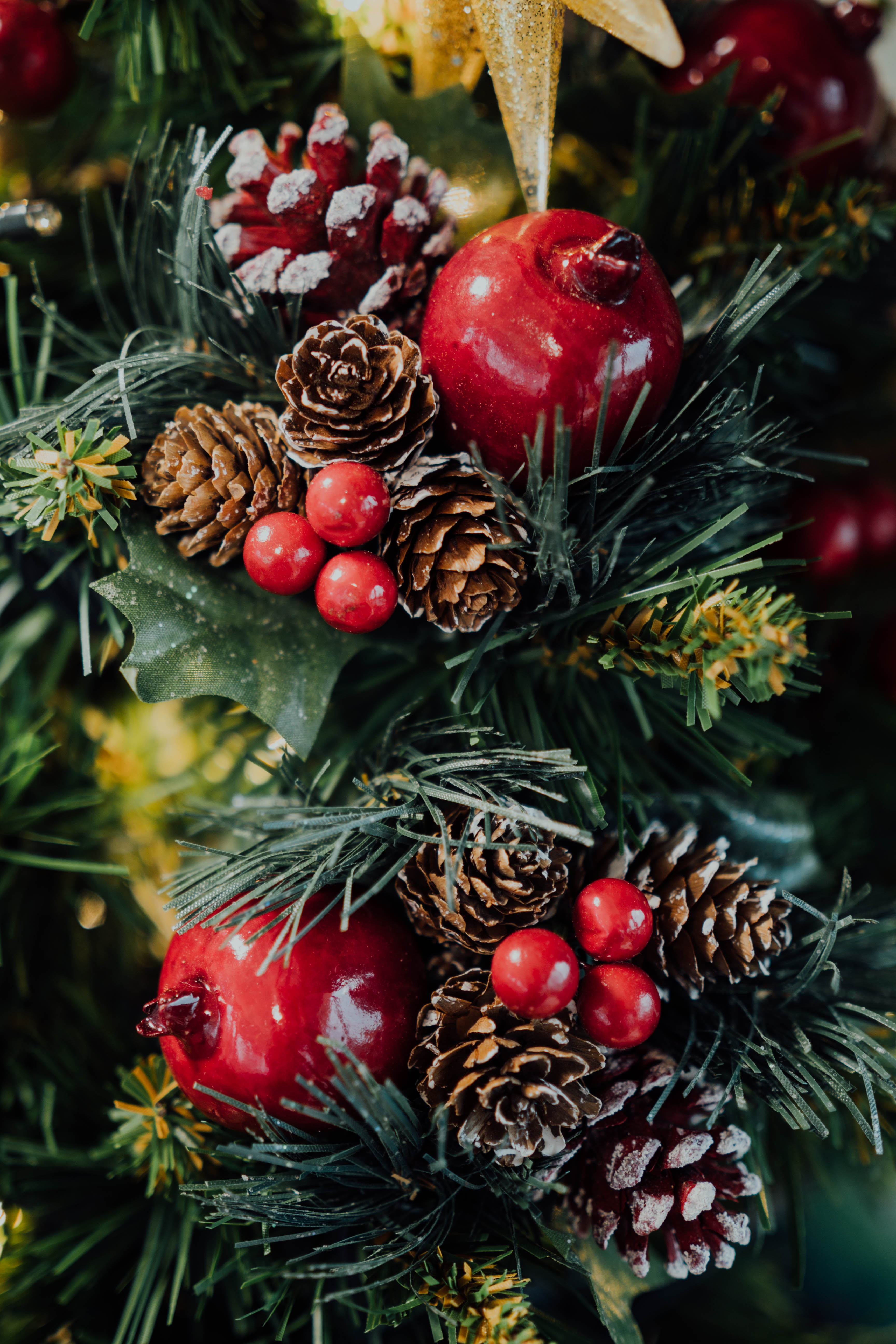 75368 Bild herunterladen weihnachtsbaum, feiertage, cones, neujahr, weihnachten, berries, neues jahr - Hintergrundbilder und Bildschirmschoner kostenlos
