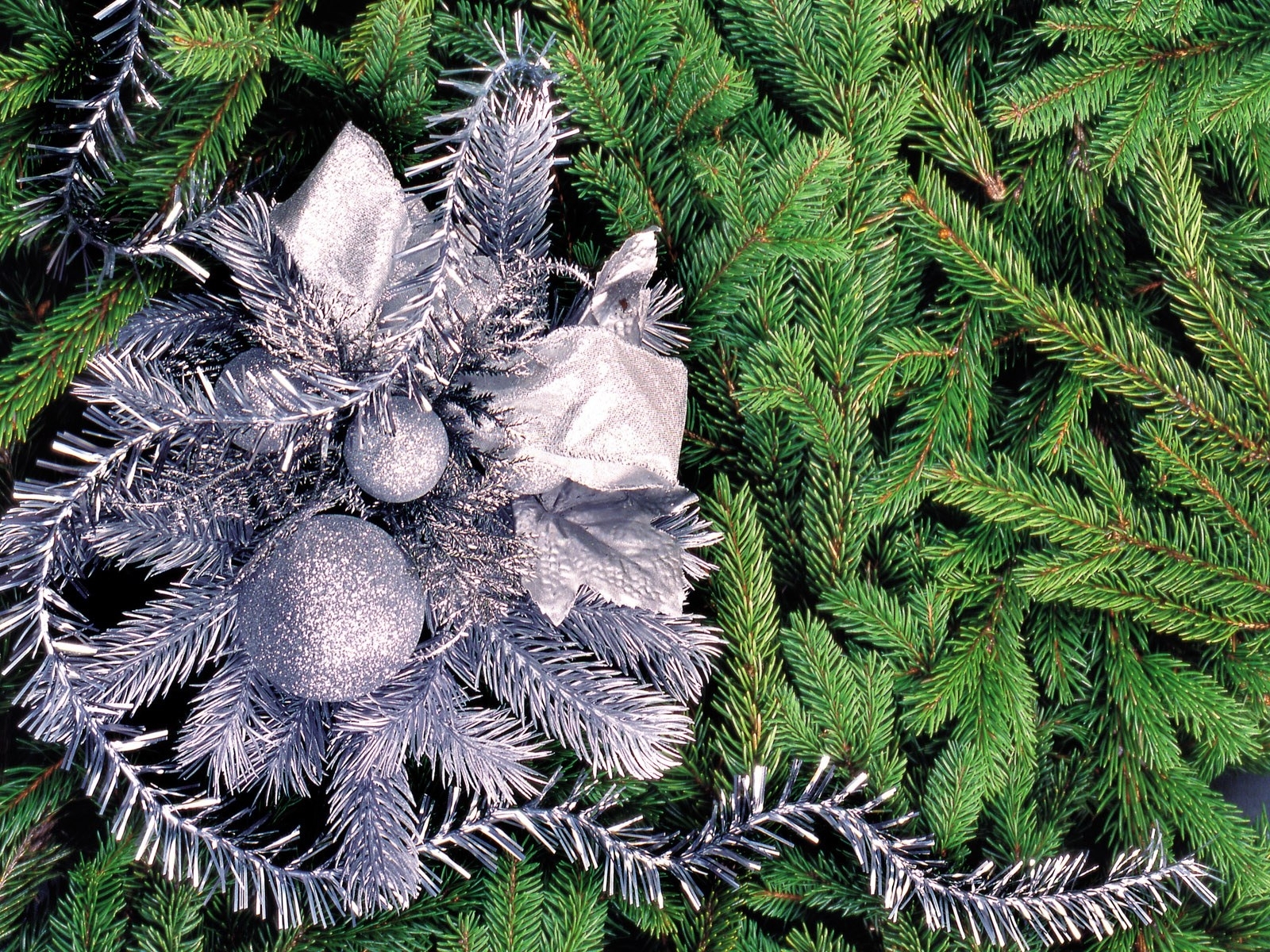 Laden Sie das Neujahr, Feiertage, Tannenbaum, Weihnachten-Bild kostenlos auf Ihren PC-Desktop herunter