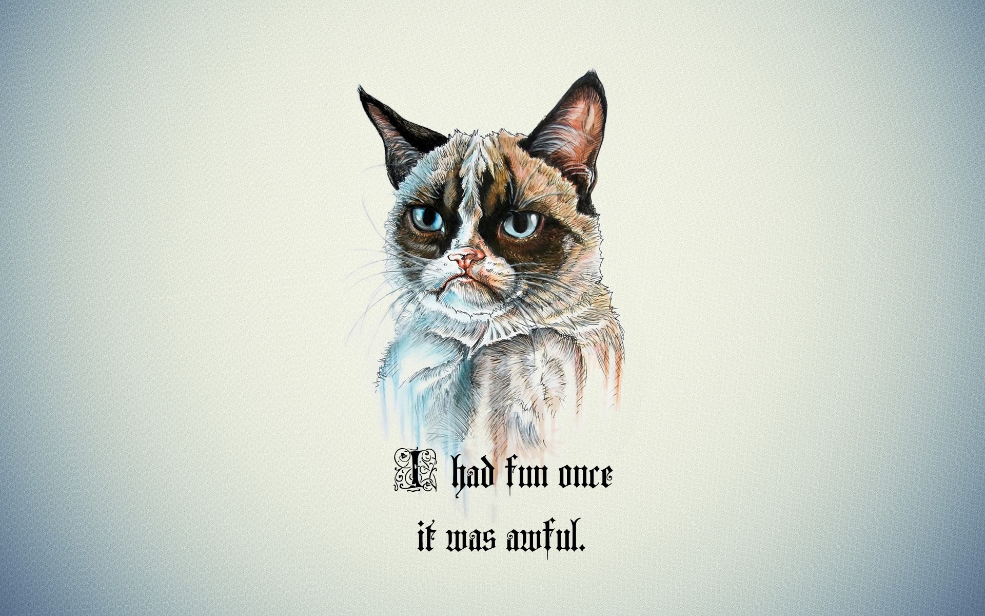 451279壁紙のダウンロードユーモア, ネコ, 気難しい猫, 声明, 猫-スクリーンセーバーと写真を無料で