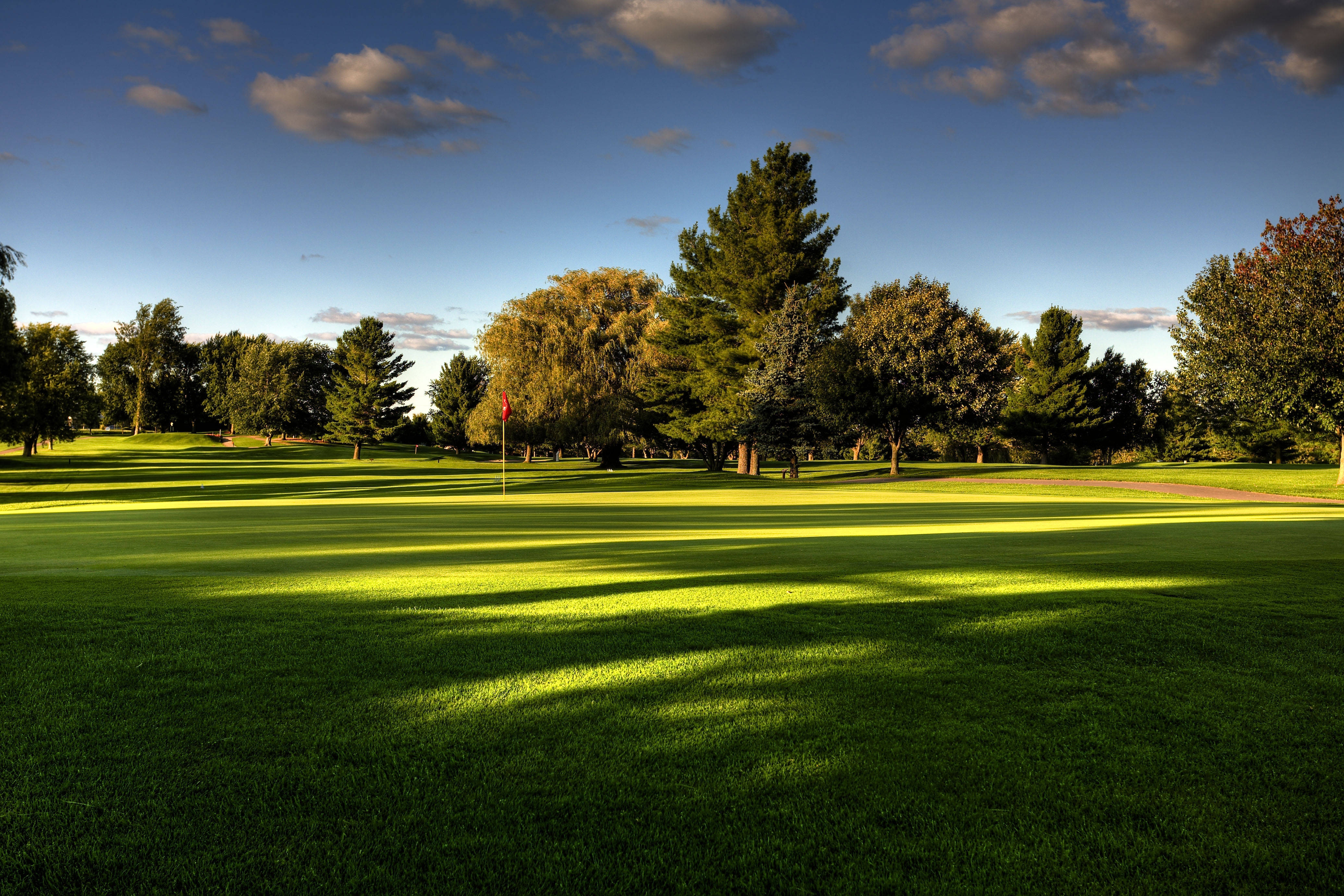golf, nature, trees, field, lawn