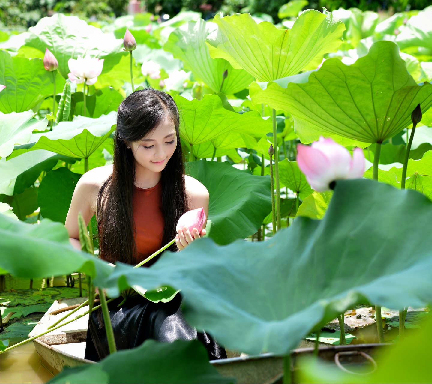 PCデスクトップに葉, ボート, 花, 池, 日光, ロータス, 笑顔, 女性, アジア人, ベトナム語画像を無料でダウンロード