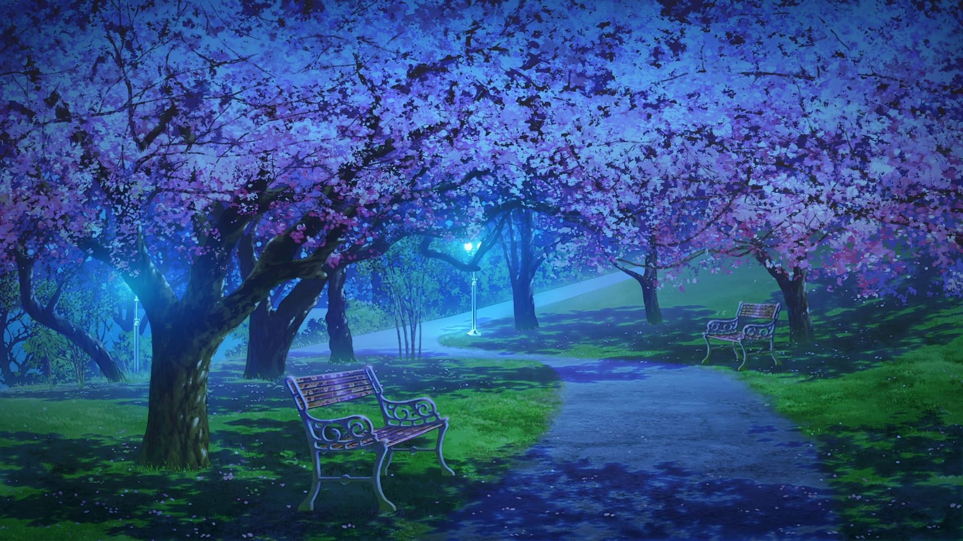 Téléchargez des papiers peints mobile Nuit, Sakura, Chemin, Original, Animé gratuitement.