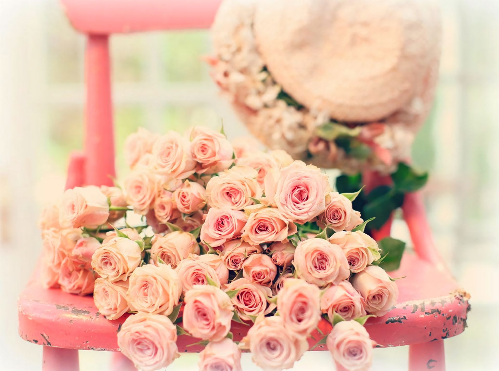 Скачати мобільні шпалери Натюрморт, Квітка, Стілець, Роза, Рожевий, Капелюх, Фотографія, Рожева Троянда безкоштовно.