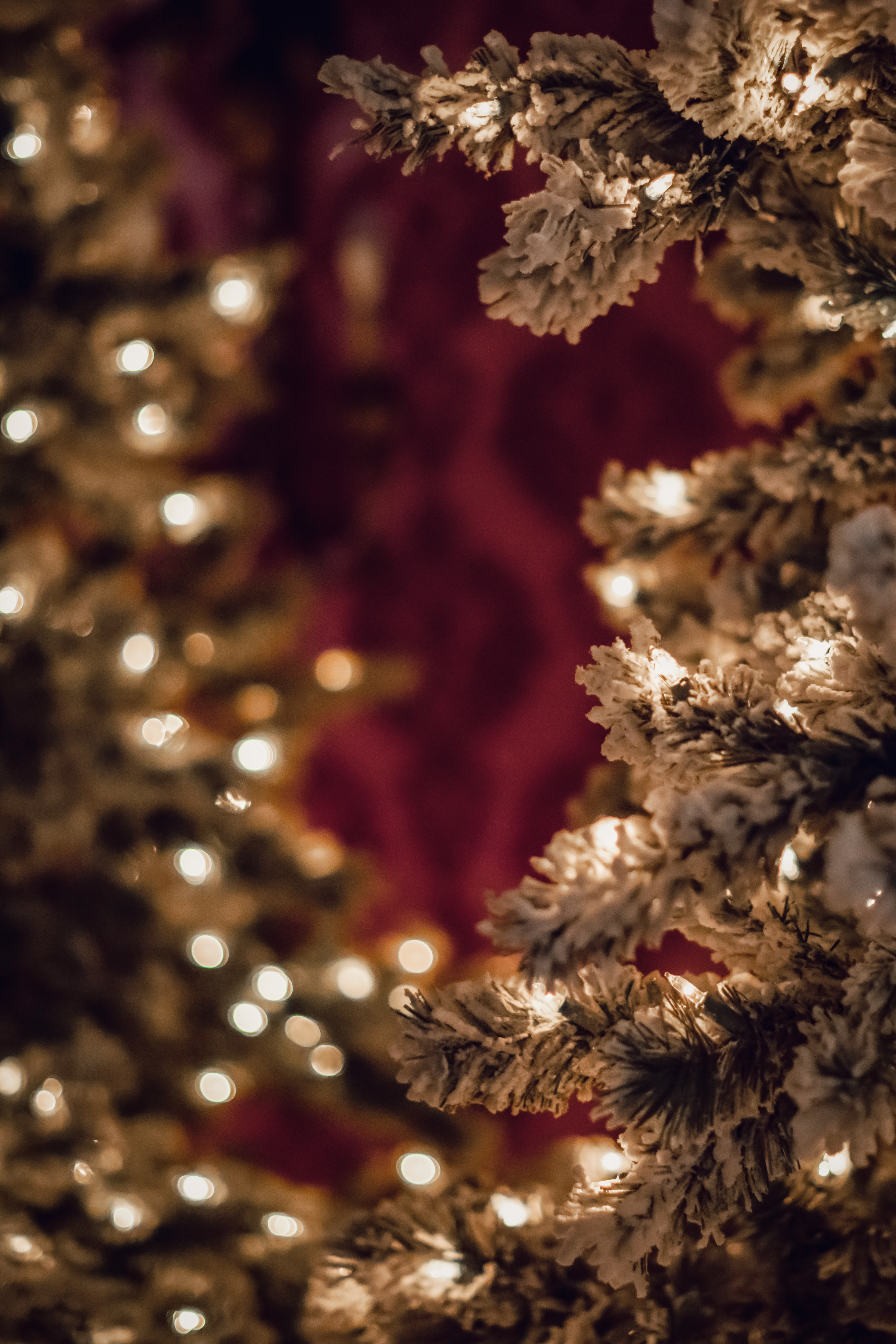 52578 descargar fondo de pantalla vacaciones, año nuevo, navidad, blanco, sucursales, ramas, árbol de navidad, guirnalda, guirnaldas: protectores de pantalla e imágenes gratis