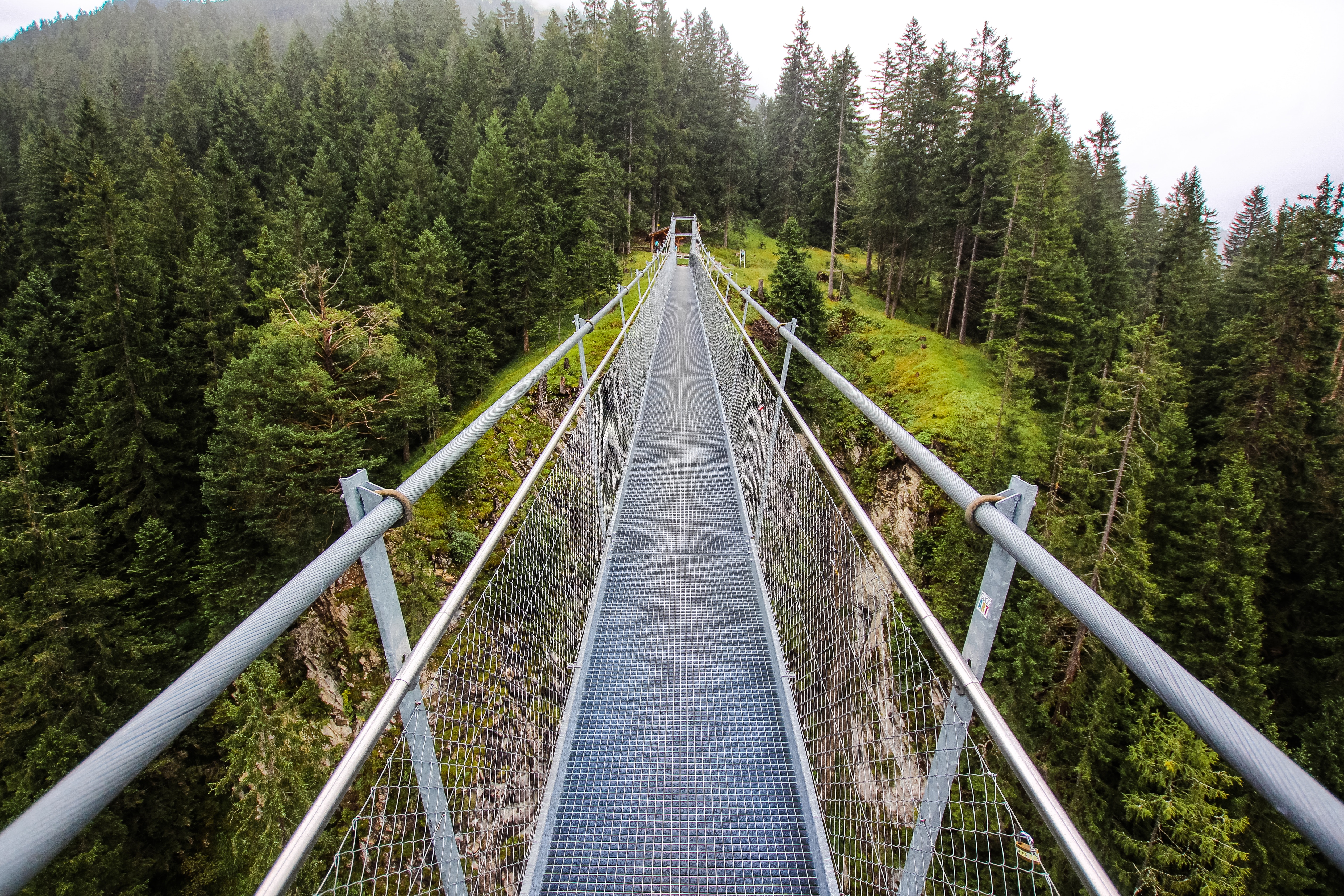 bridge, trees, nature, forest 4K