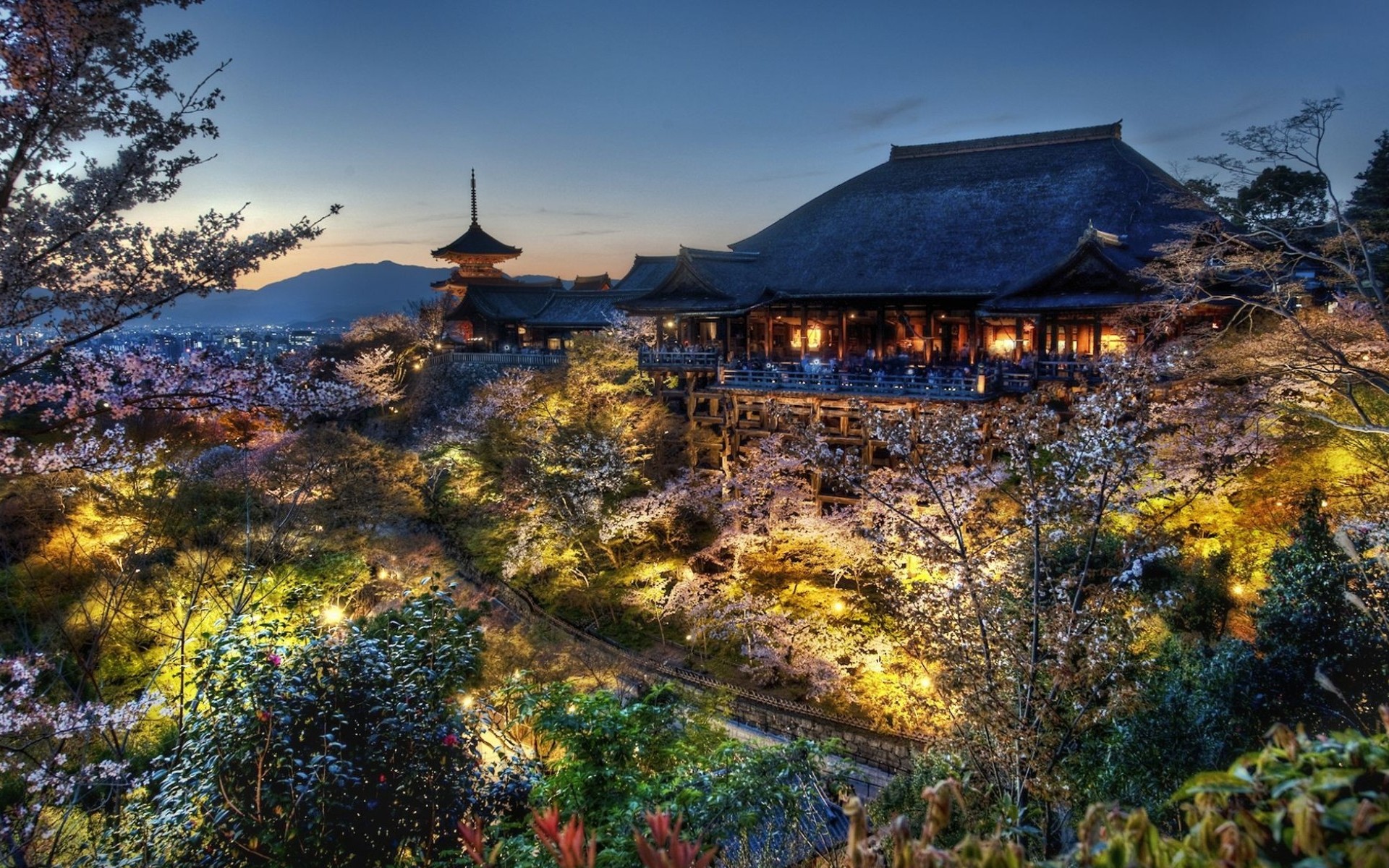 religious, kiyomizu dera, japan, kyoto, sakura blossom, spring