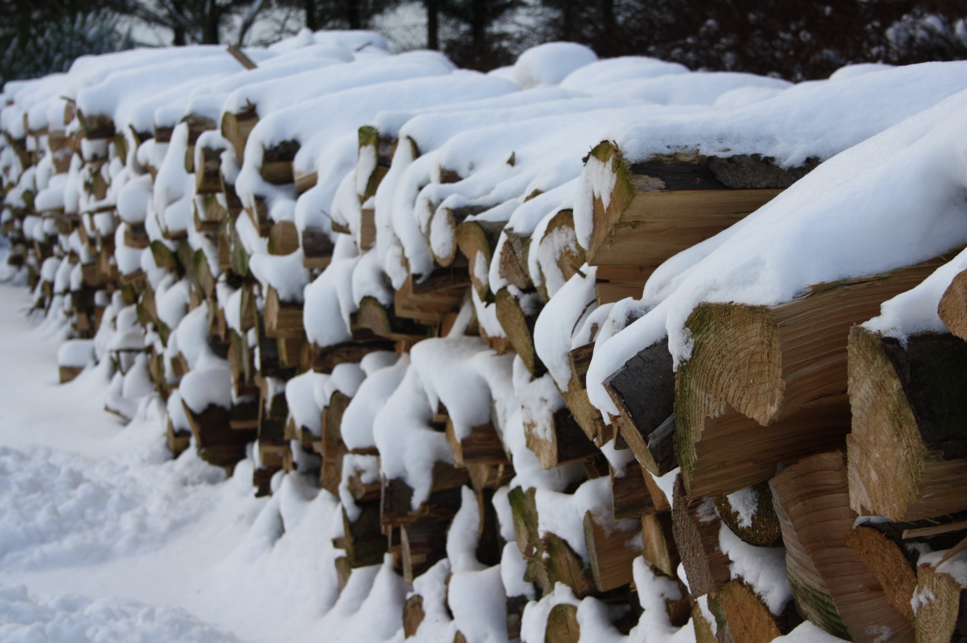 Téléchargez gratuitement l'image Hiver, Terre/nature sur le bureau de votre PC