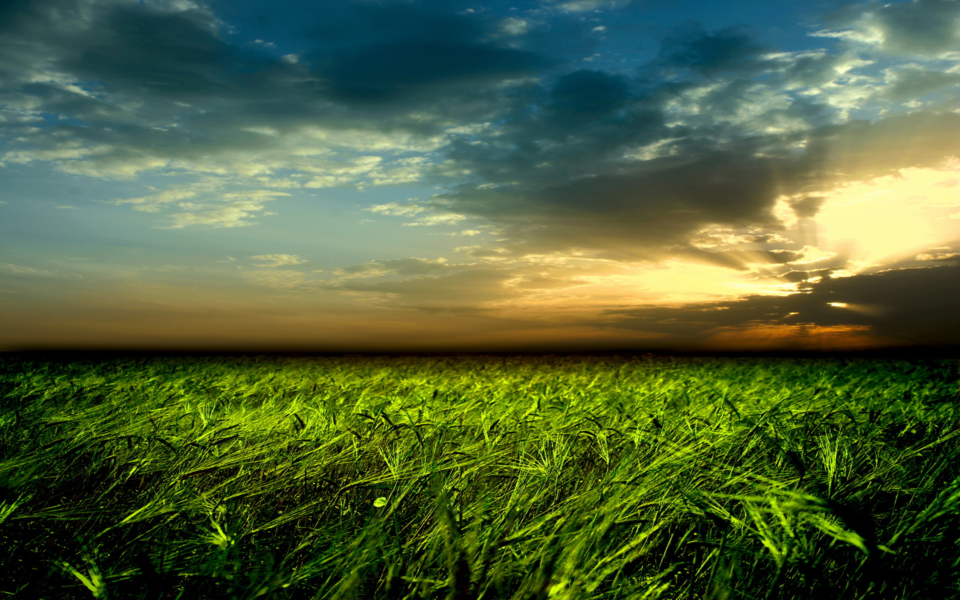 Handy-Wallpaper Feld, Erde/natur kostenlos herunterladen.