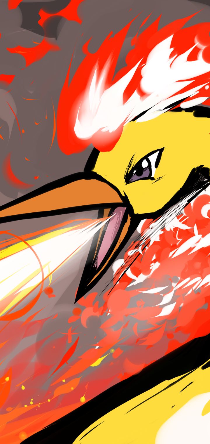 Download mobile wallpaper Anime, Pokémon, Moltres (Pokémon) for free.