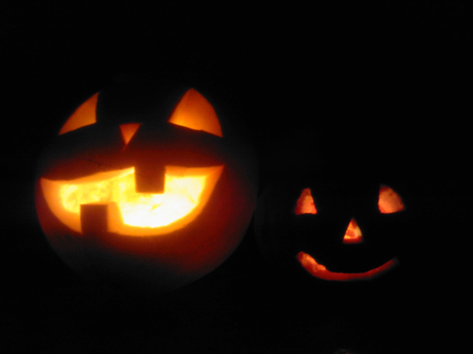 pumpkin, halloween, holidays, black