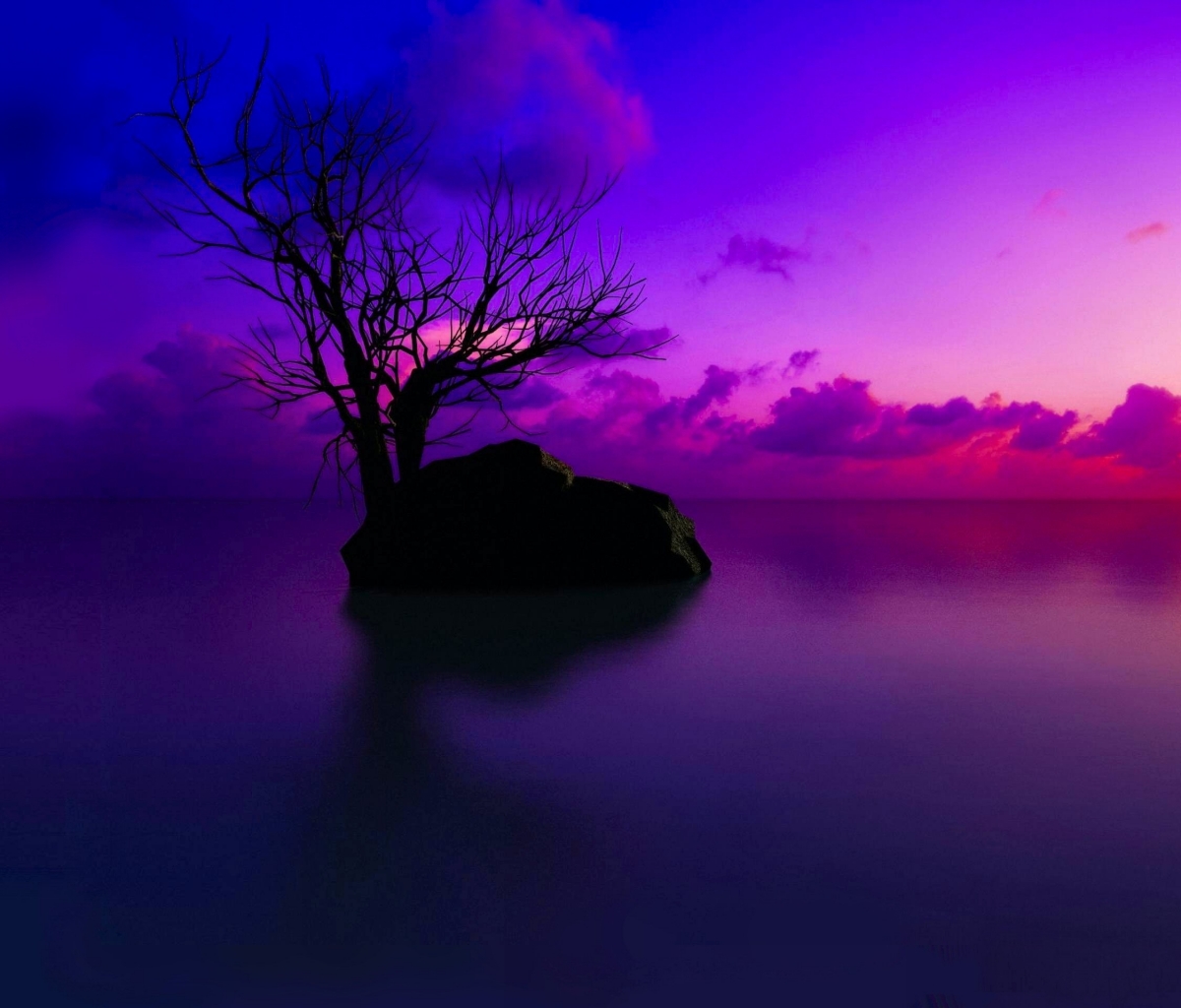 Download mobile wallpaper Sunset, Sky, Horizon, Tree, Earth, Purple, Cloud for free.