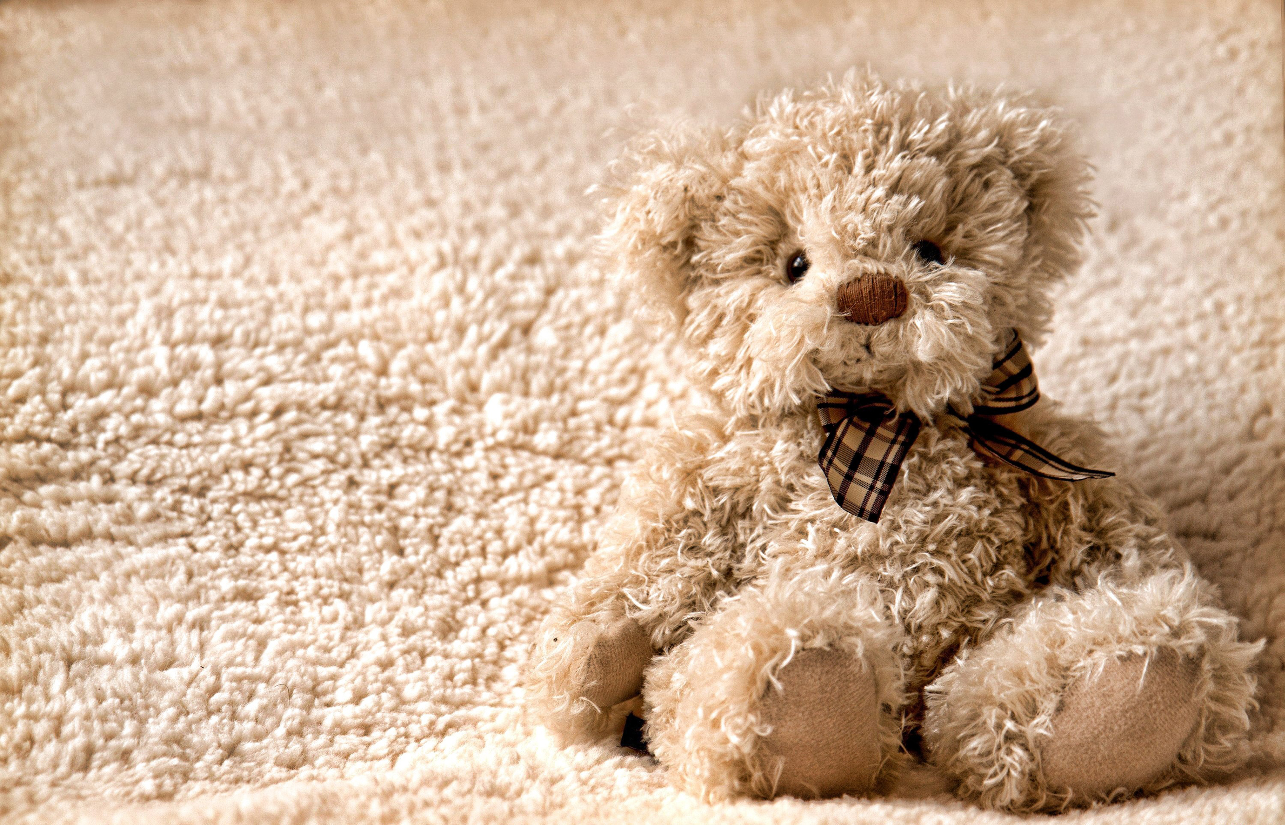 Free download wallpaper Man Made, Stuffed Animal on your PC desktop