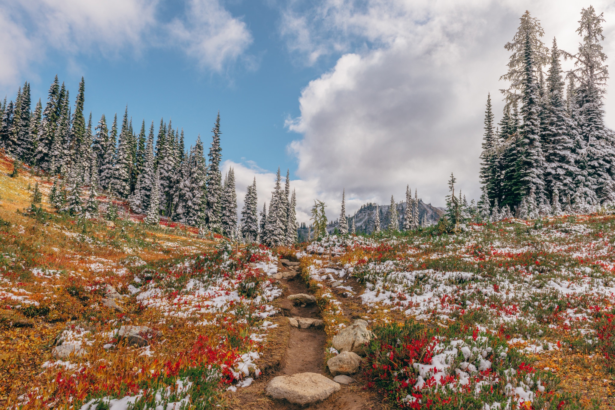 Descarga gratuita de fondo de pantalla para móvil de Invierno, Naturaleza, Camino, Tierra/naturaleza.