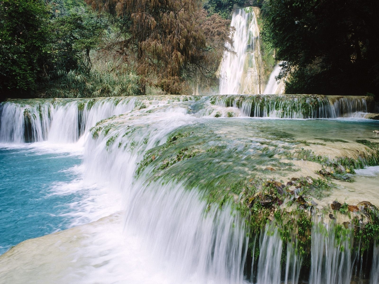 earth, waterfall, mexico, moss, nature, vegetation, water, waterfalls