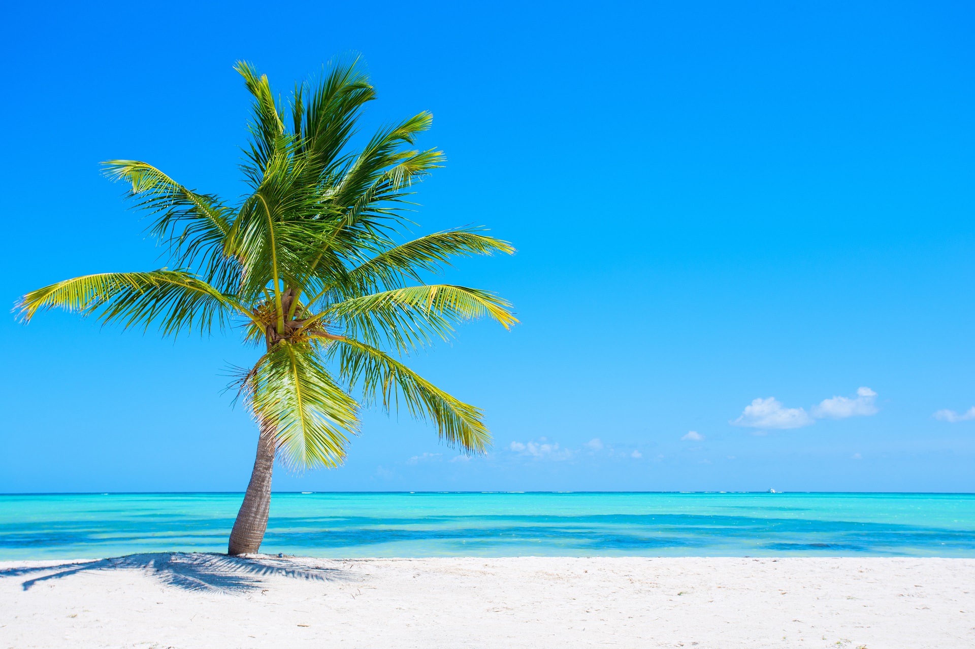 Descarga gratuita de fondo de pantalla para móvil de Playa, Tierra/naturaleza.