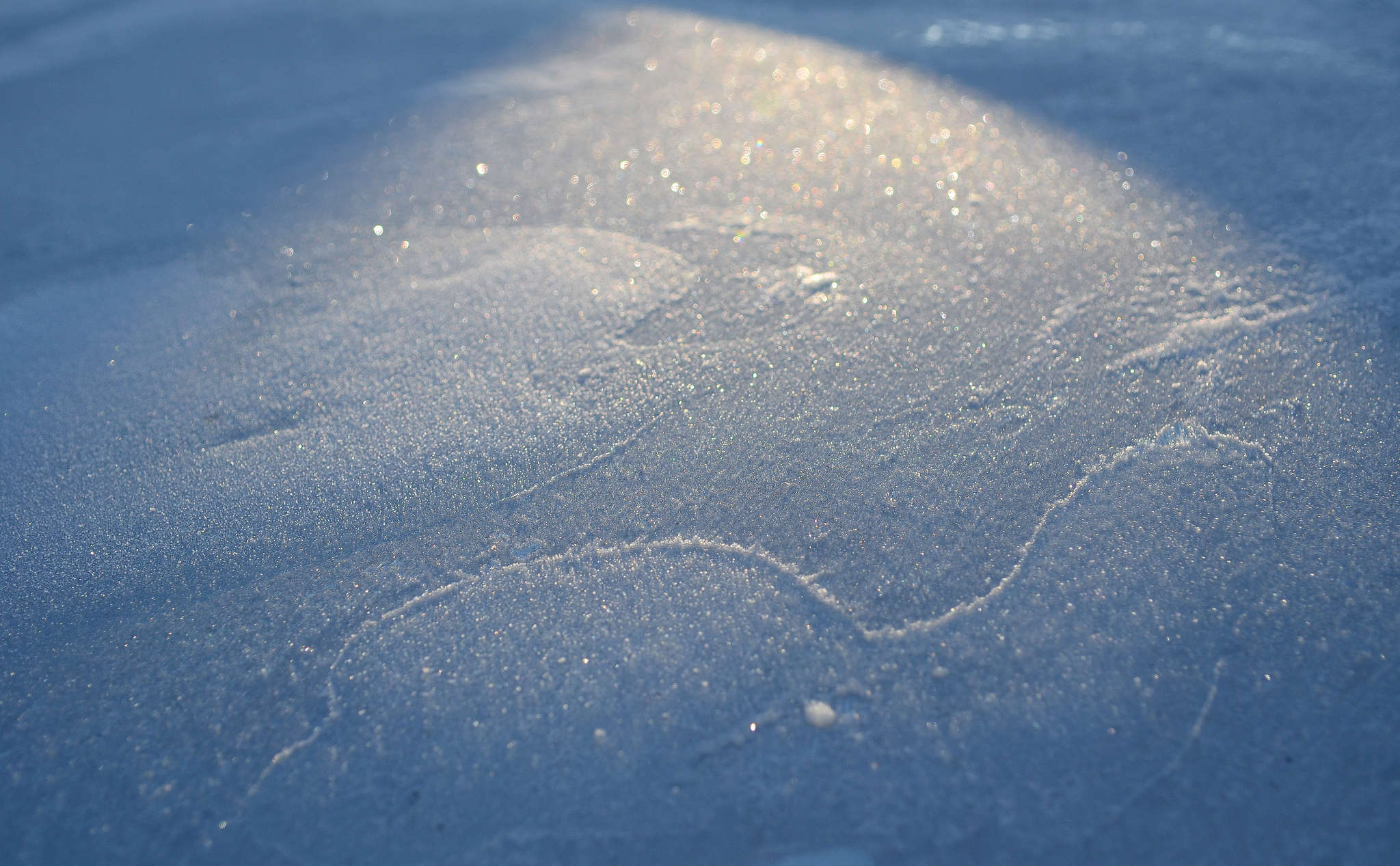 PCデスクトップに冬, 雪, 地球画像を無料でダウンロード