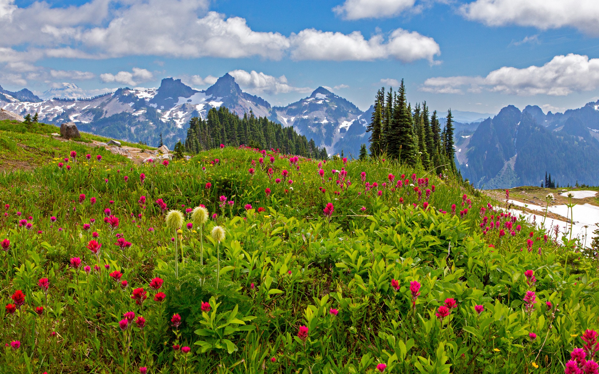 Téléchargez gratuitement l'image Paysage, Montagne, Fleur, Arbre, Parc National, La Nature, Terre/nature sur le bureau de votre PC