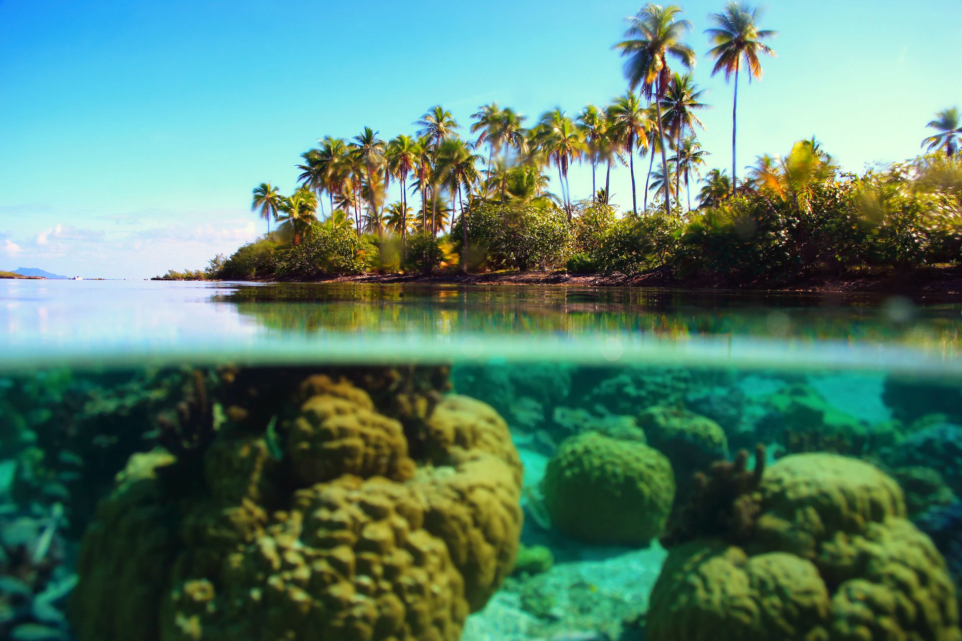 Baixe gratuitamente a imagem Mar, Palmeira, Tropical, Terra/natureza na área de trabalho do seu PC