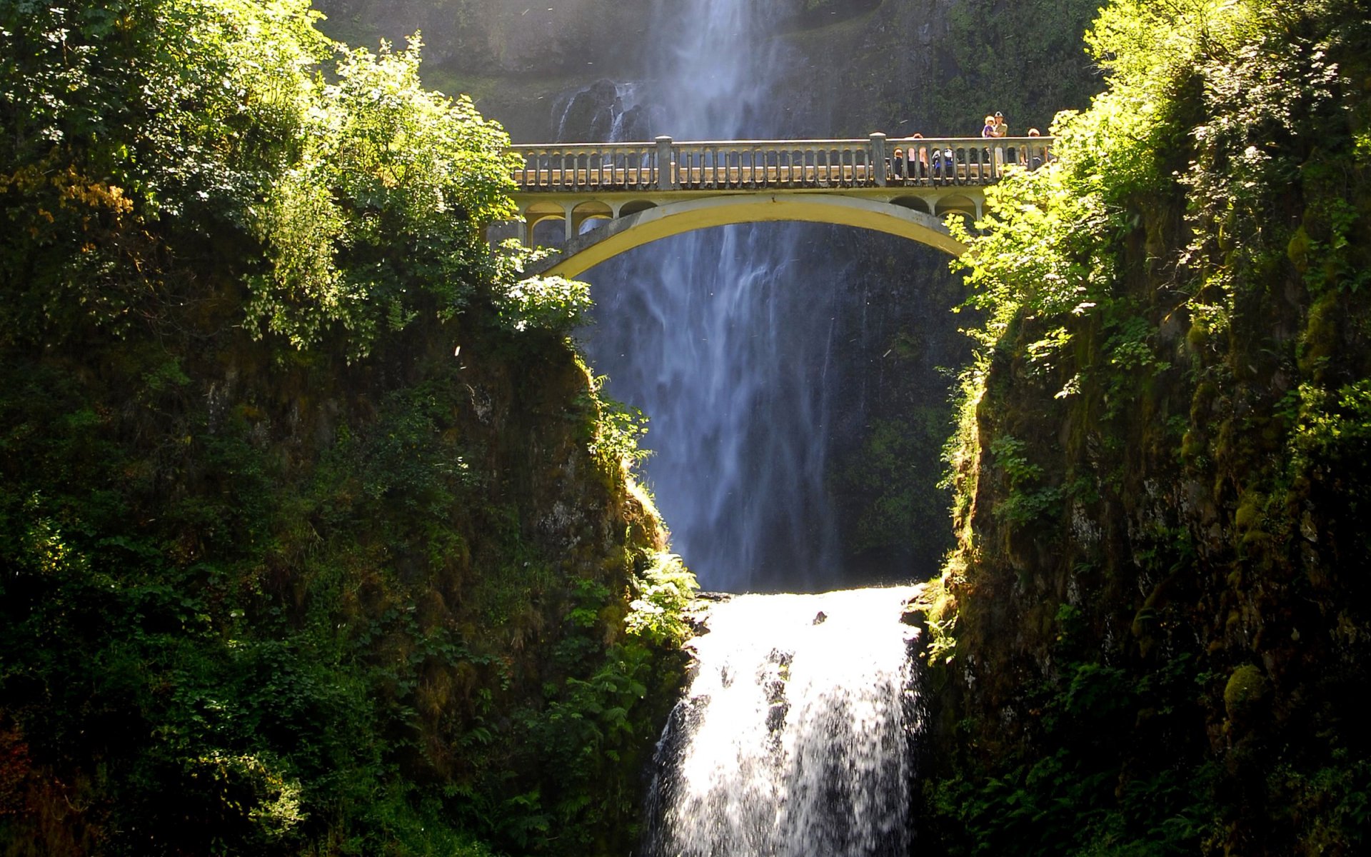 Скачать картинку Водопады, Водопад, Лес, Мост, Зеленый, Земля/природа в телефон бесплатно.