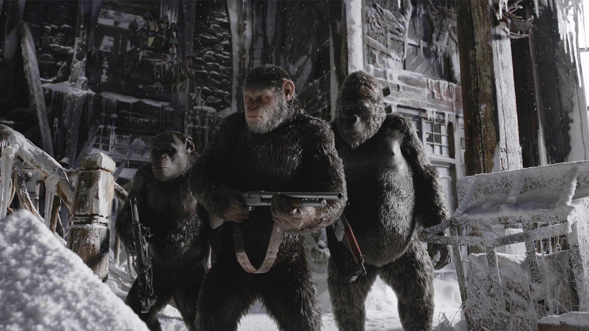 811481壁紙のダウンロード映画, 猿の惑星: 戦争-スクリーンセーバーと写真を無料で