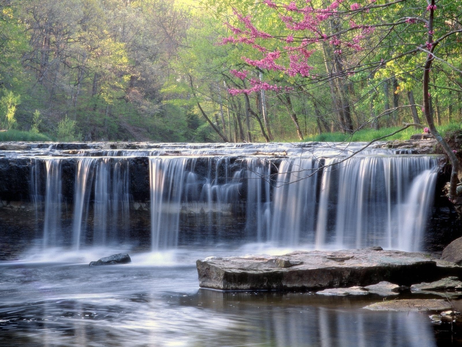 Handy-Wallpaper Natur, Wasser, Wasserfälle, Wasserfall, Wald, Erde/natur kostenlos herunterladen.
