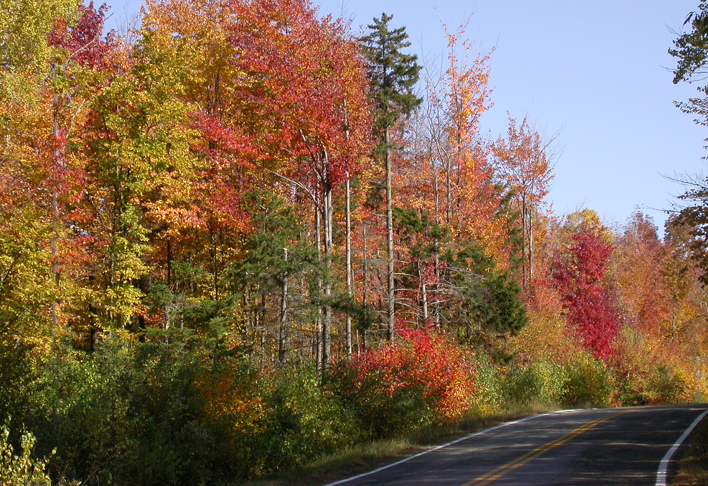 Free download wallpaper Road, Fall, Photography on your PC desktop