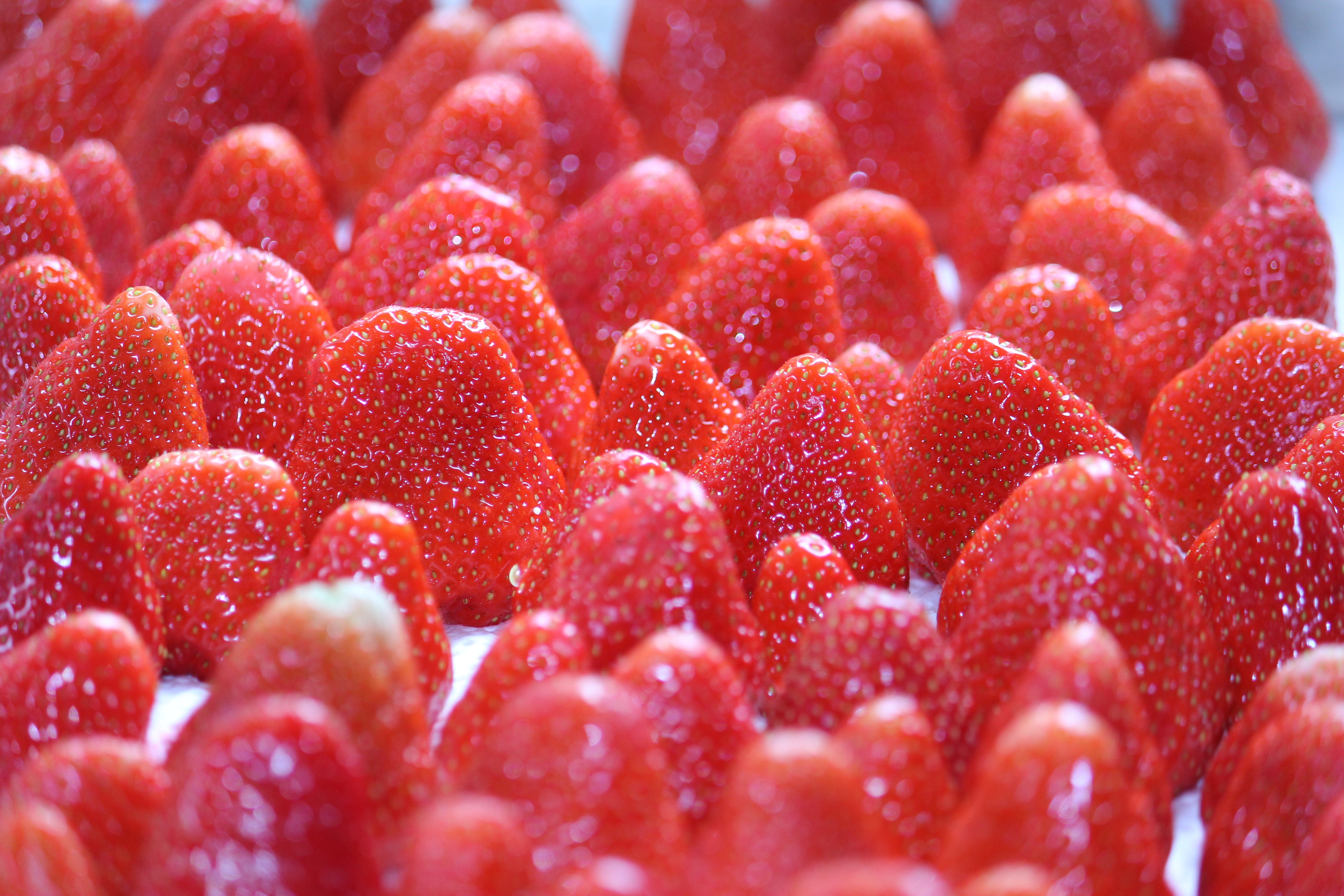 Download mobile wallpaper Fruits, Food, Strawberry, Berry, Fruit for free.