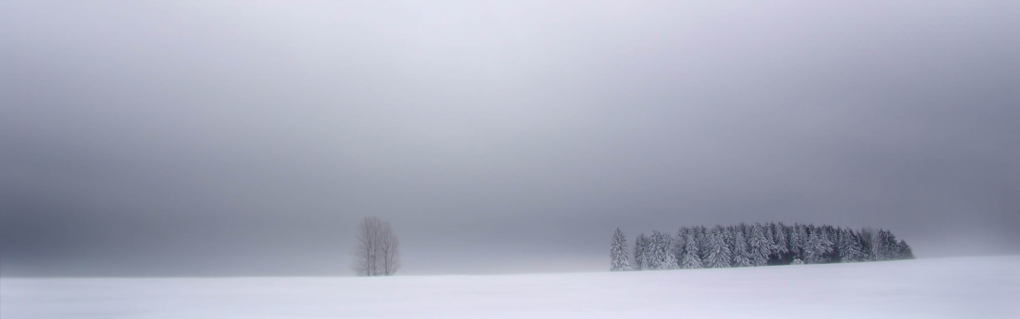 Download mobile wallpaper Landscape, Winter, Tree, Earth for free.