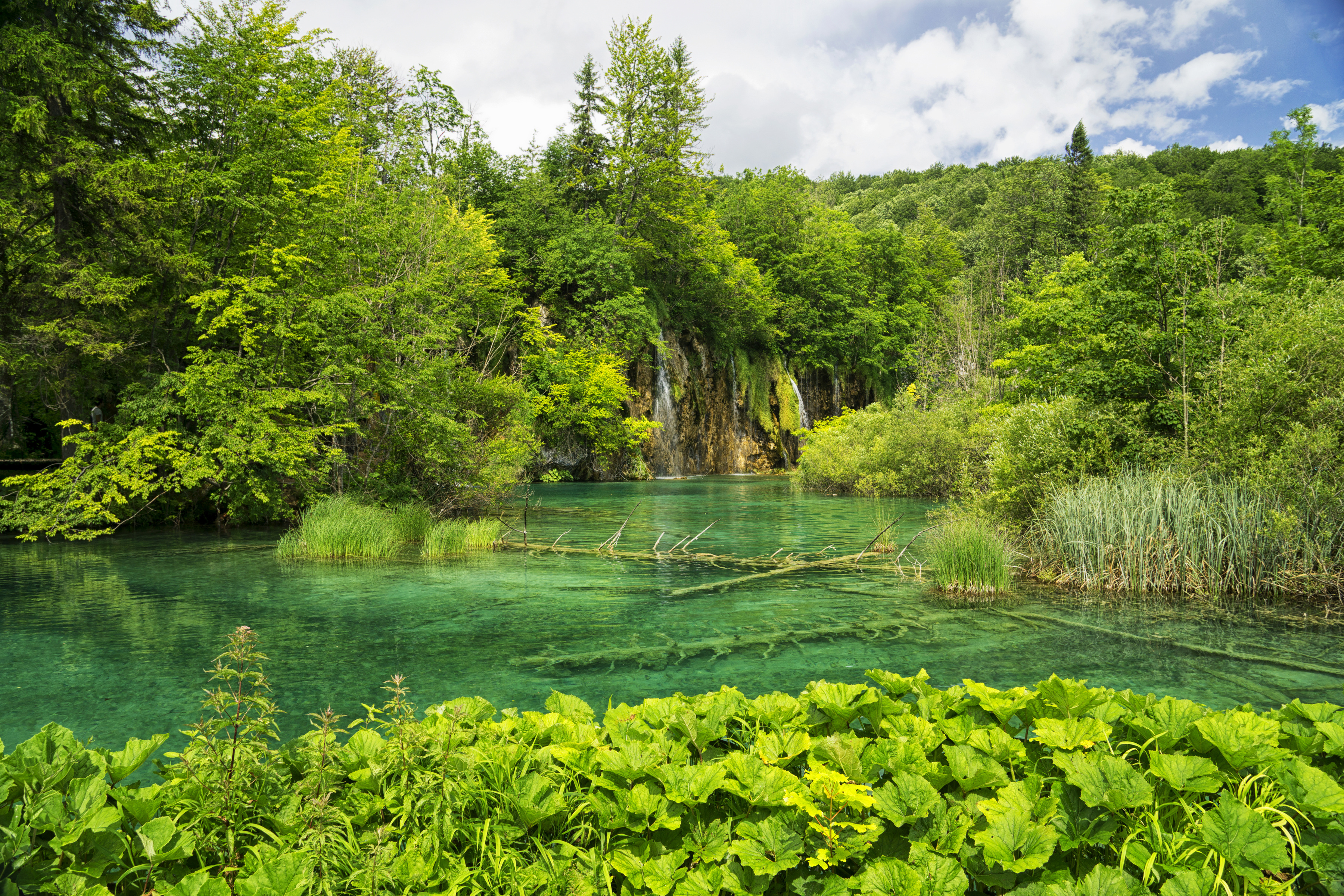 Download mobile wallpaper Nature, Waterfalls, Waterfall, Earth, Croatia, Greenery for free.