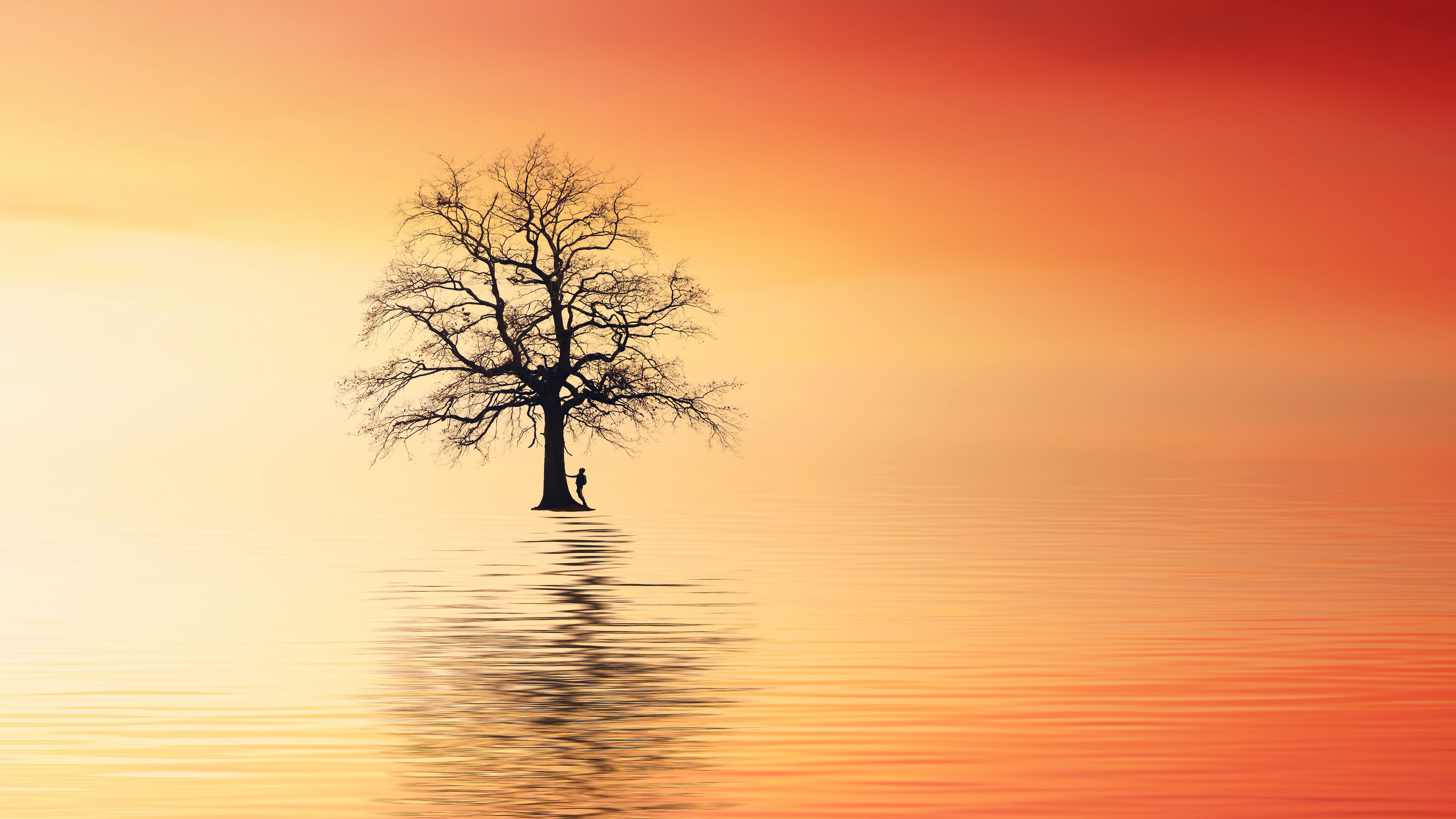 Download mobile wallpaper Wood, Reflection, Tree, Sea, Silhouette, Lonely, Alone, Minimalism for free.