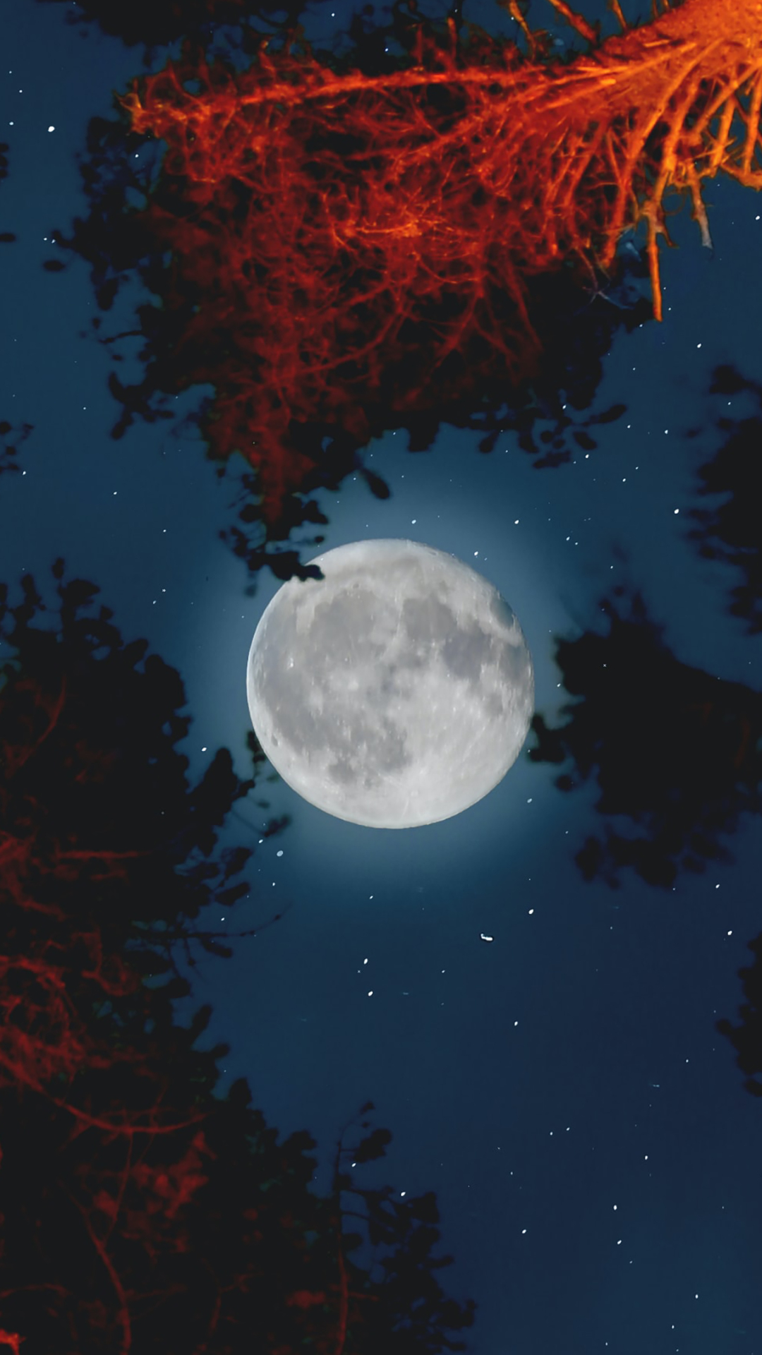 Descarga gratuita de fondo de pantalla para móvil de Luna, Tierra/naturaleza.