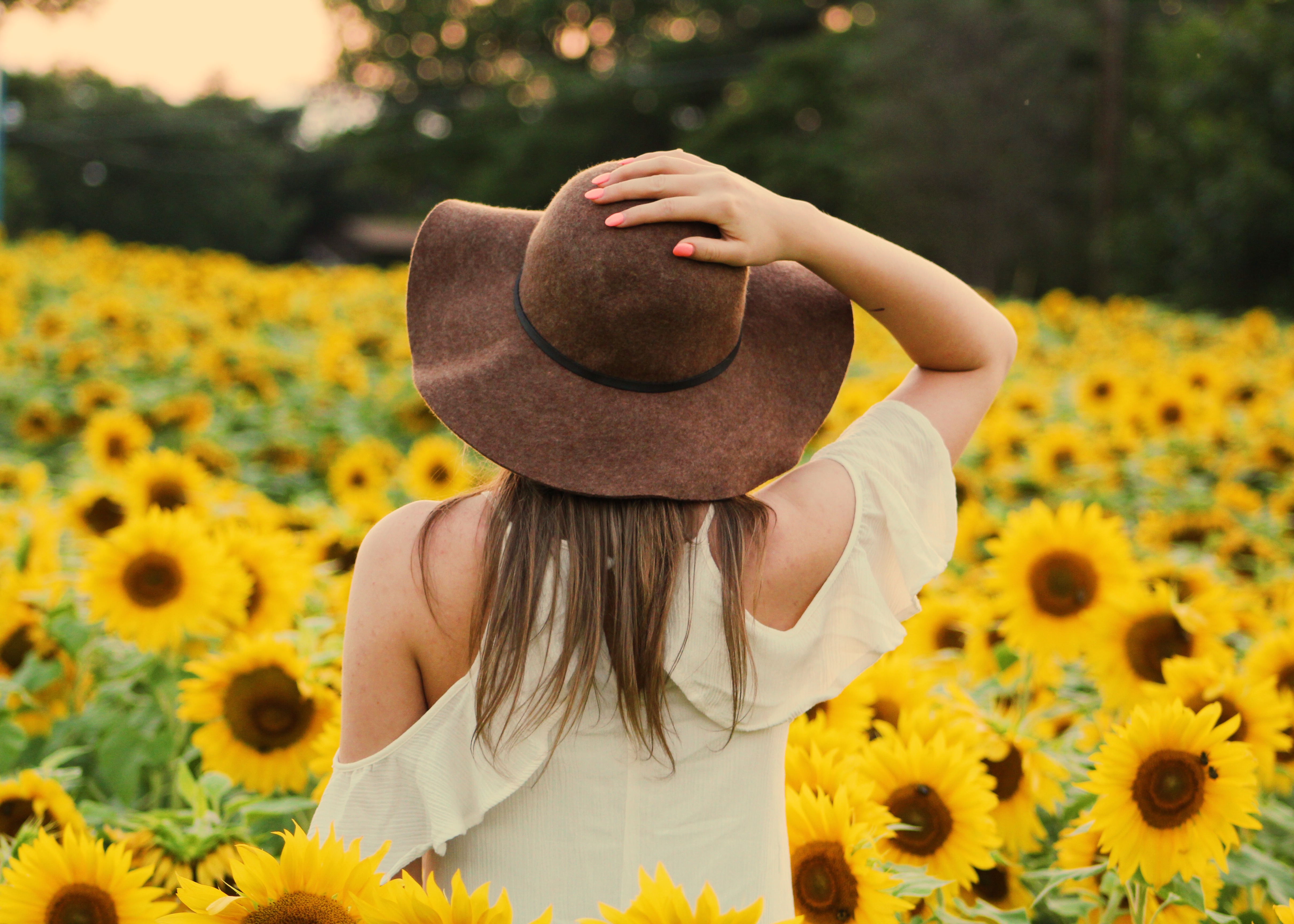 Download mobile wallpaper Summer, Flower, Rear, Sunflower, Hat, Women, Yellow Flower, Depth Of Field for free.