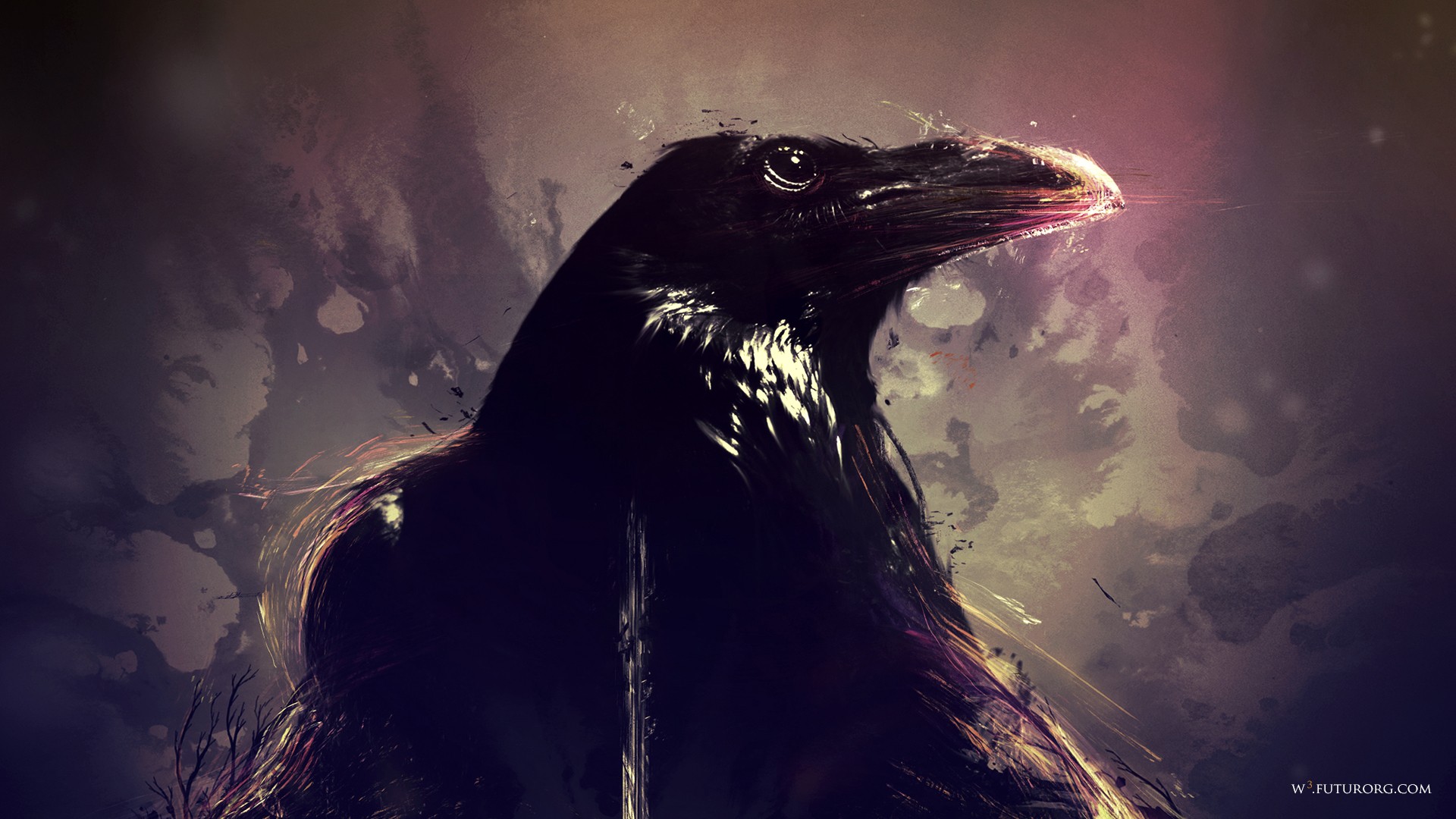 Free download wallpaper Animal, Crow on your PC desktop