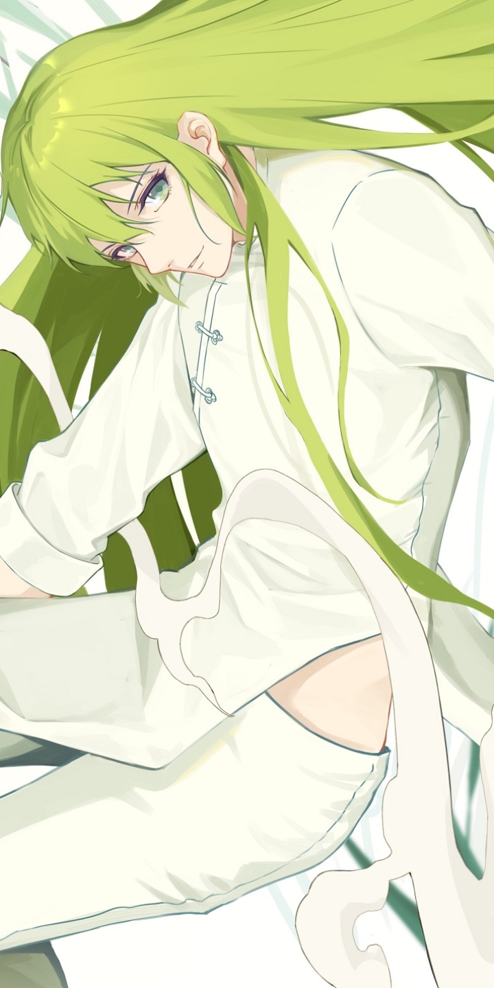 Download mobile wallpaper Anime, Fate/grand Order, Enkidu (Fate/grand Order), False Lancer, Fate Series for free.