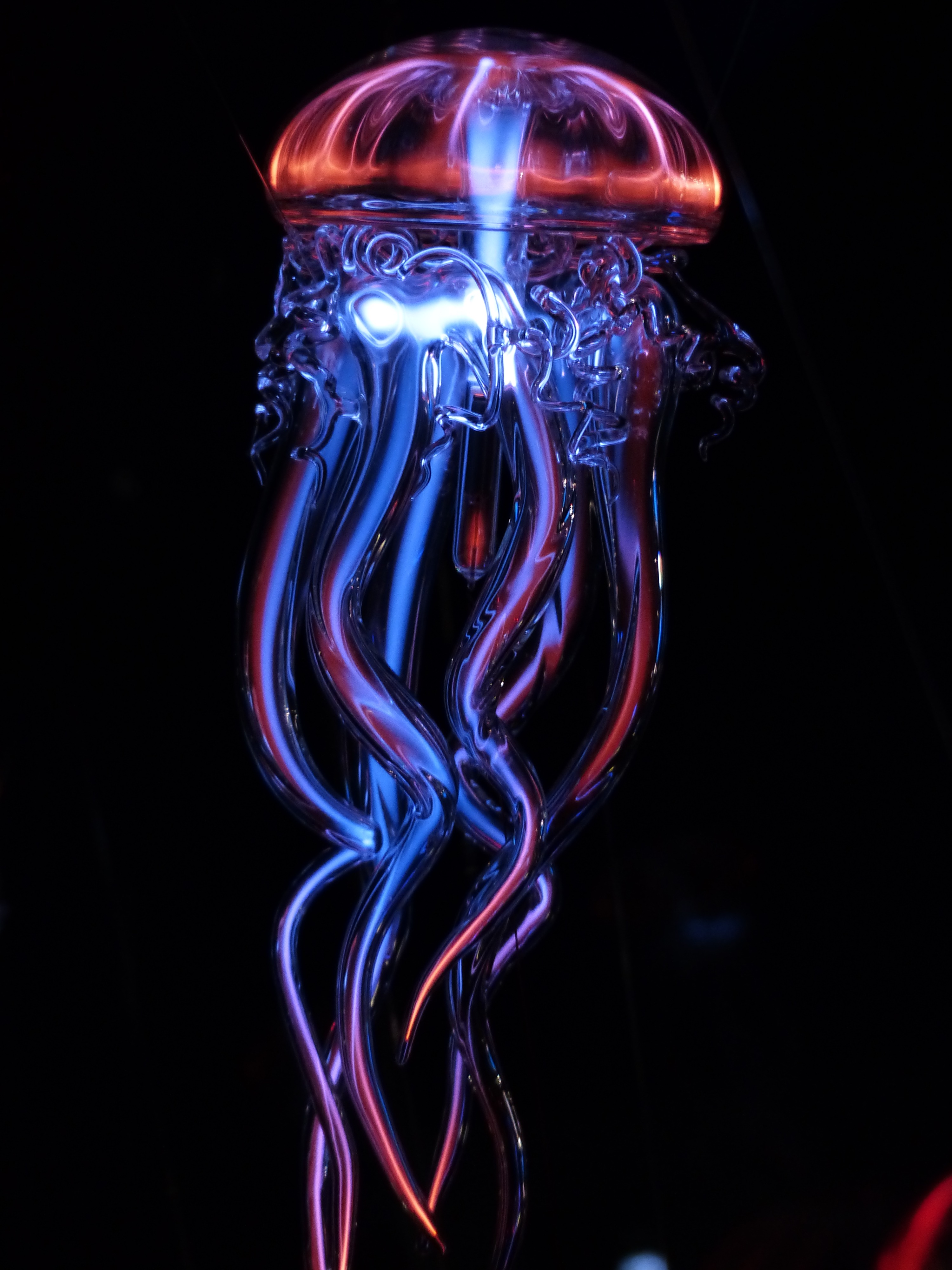 88530 скачать обои разное, медуза, свет, стеклянный, щупальца, светящийся, искусственный - заставки и картинки бесплатно