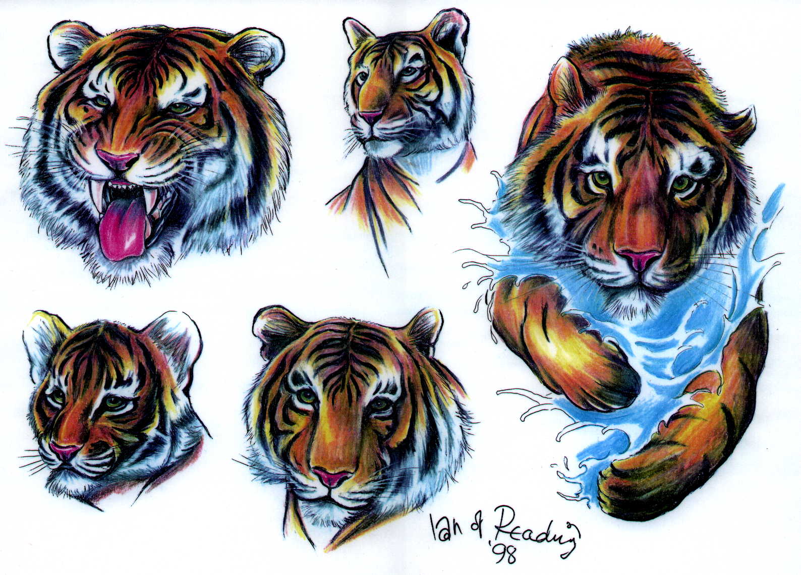 Download mobile wallpaper Cats, Animal, Tiger, Tattoo for free.