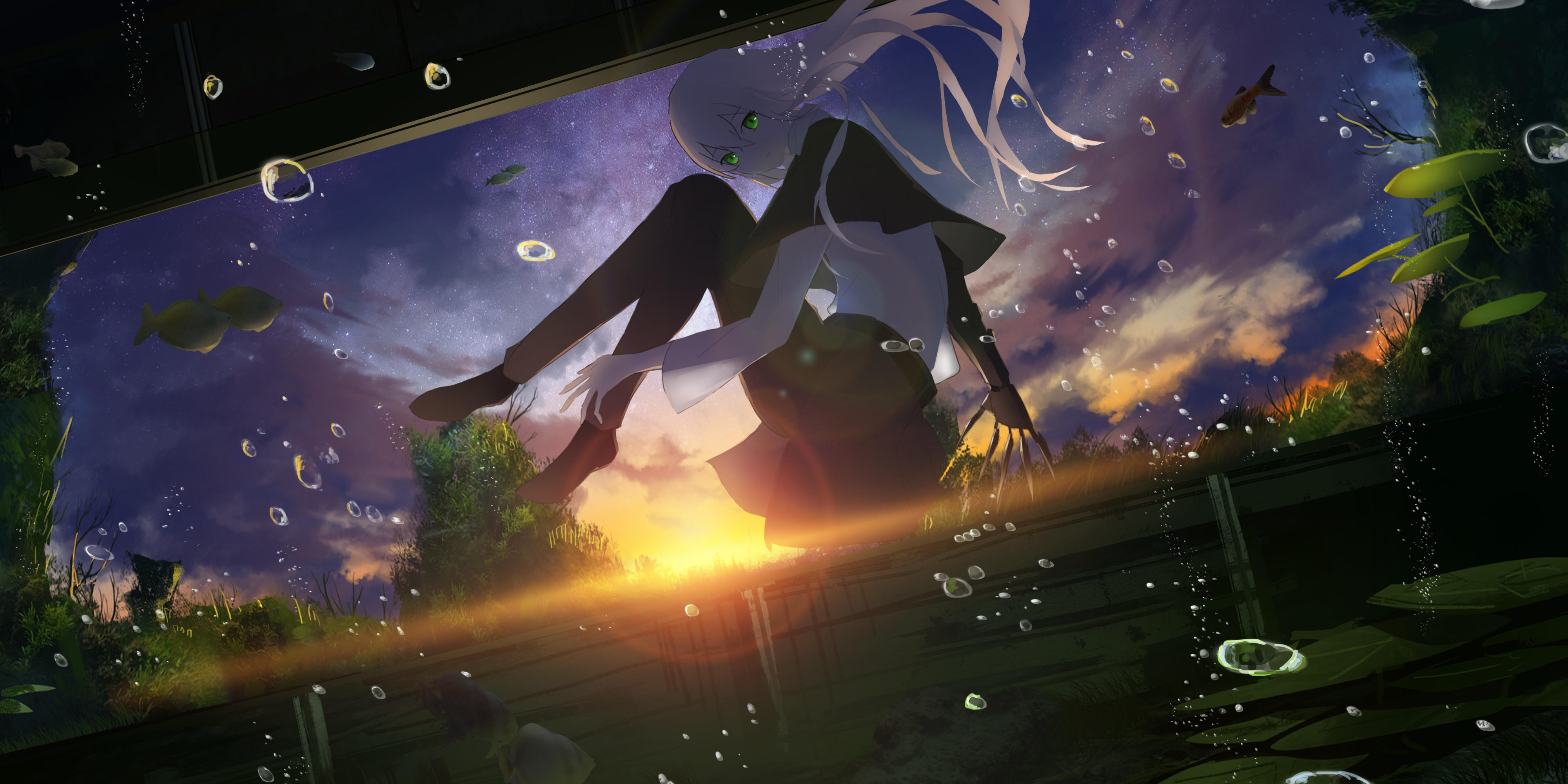 Free download wallpaper Anime, Water, Sunset, Grass, Tree, Sunlight, Fish, Bubble, Green Eyes, Original, Long Hair, White Hair on your PC desktop