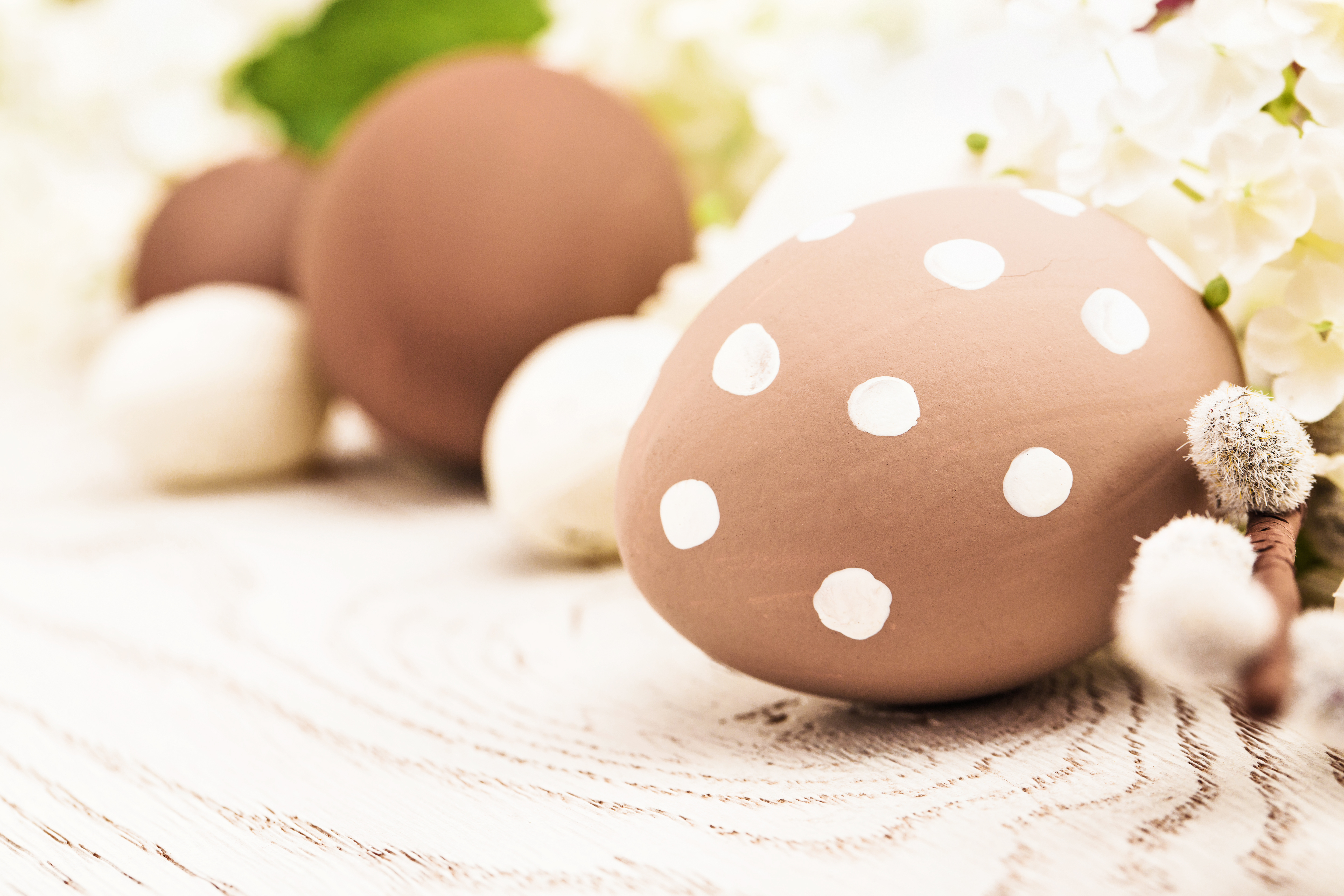 Download mobile wallpaper Food, Close Up, Egg for free.