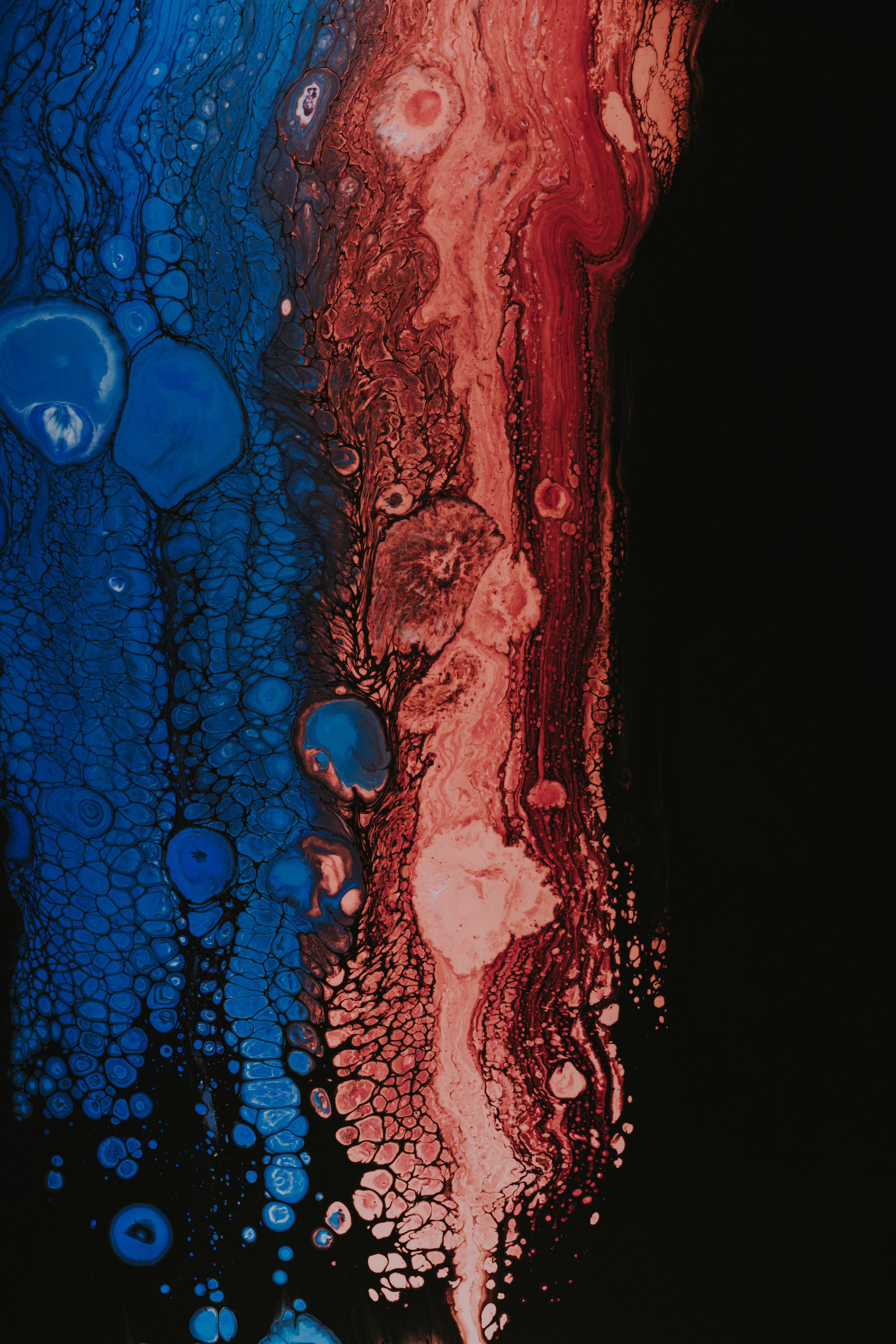 Free download wallpaper Paint, Abstract, Bubbles, Divorces, Texture, Liquid on your PC desktop