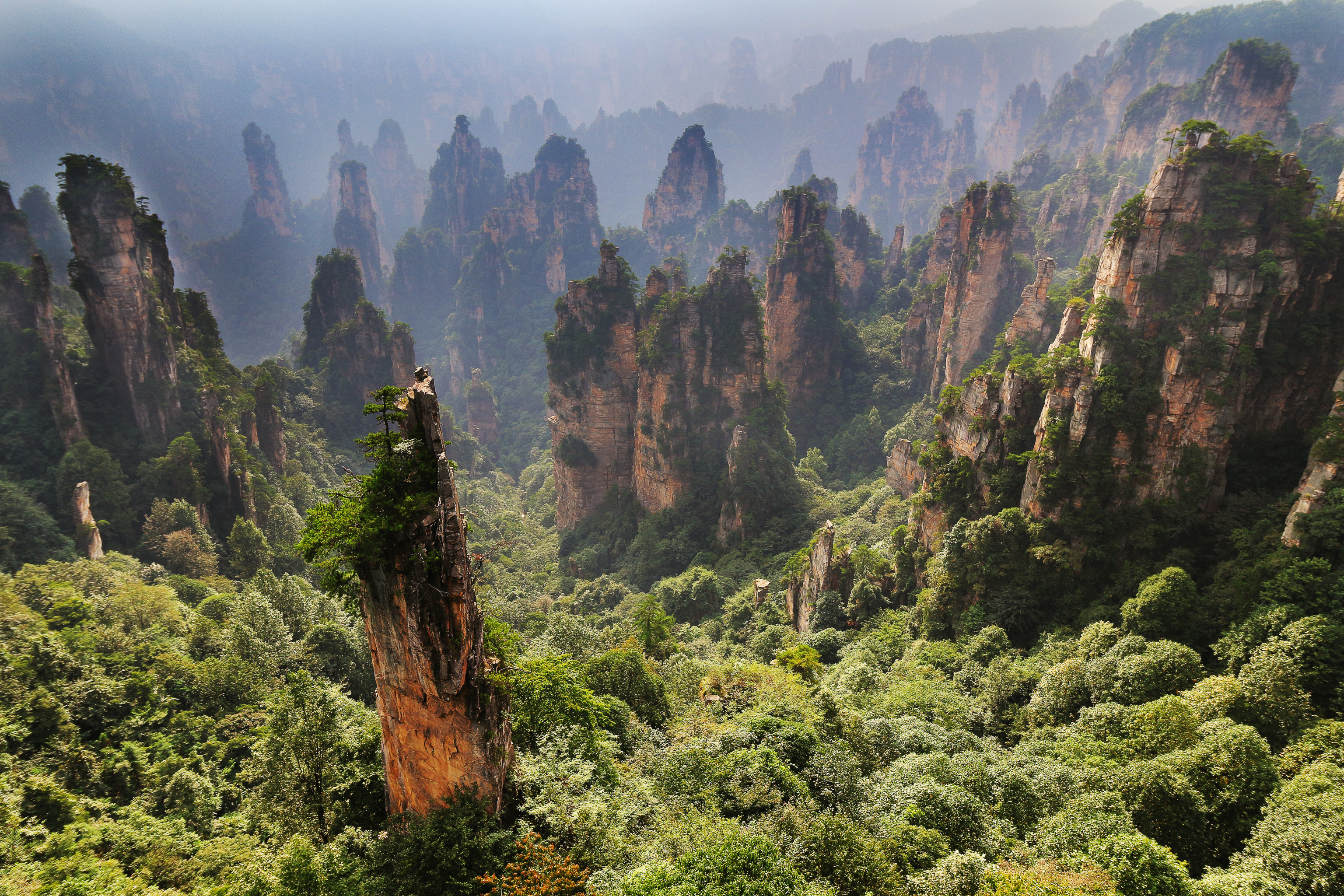 Laden Sie das Wald, Cliff, Klippe, China, Hunan, Erde/natur-Bild kostenlos auf Ihren PC-Desktop herunter