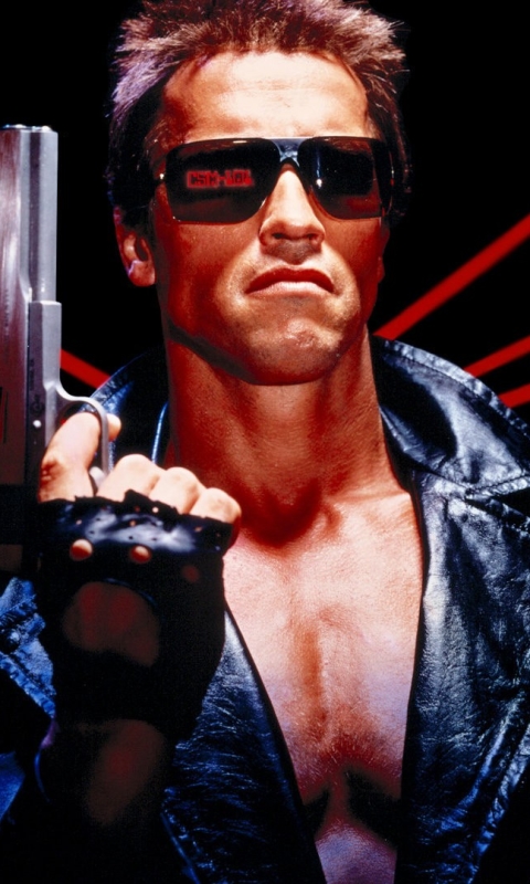 Download mobile wallpaper Arnold Schwarzenegger, Terminator, Movie, The Terminator for free.