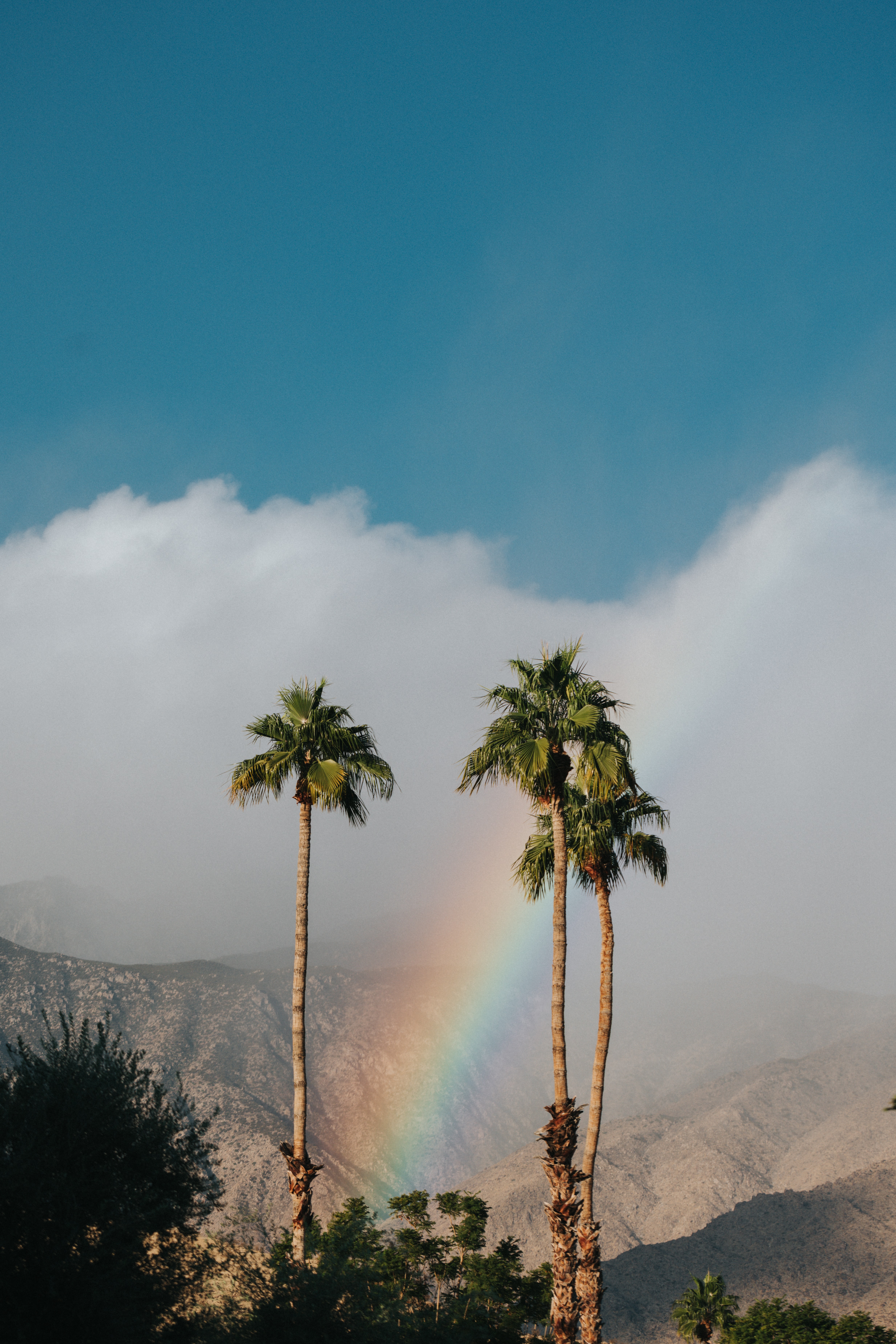 rainbow, mountains, landscape, nature, palms, cloud Full HD