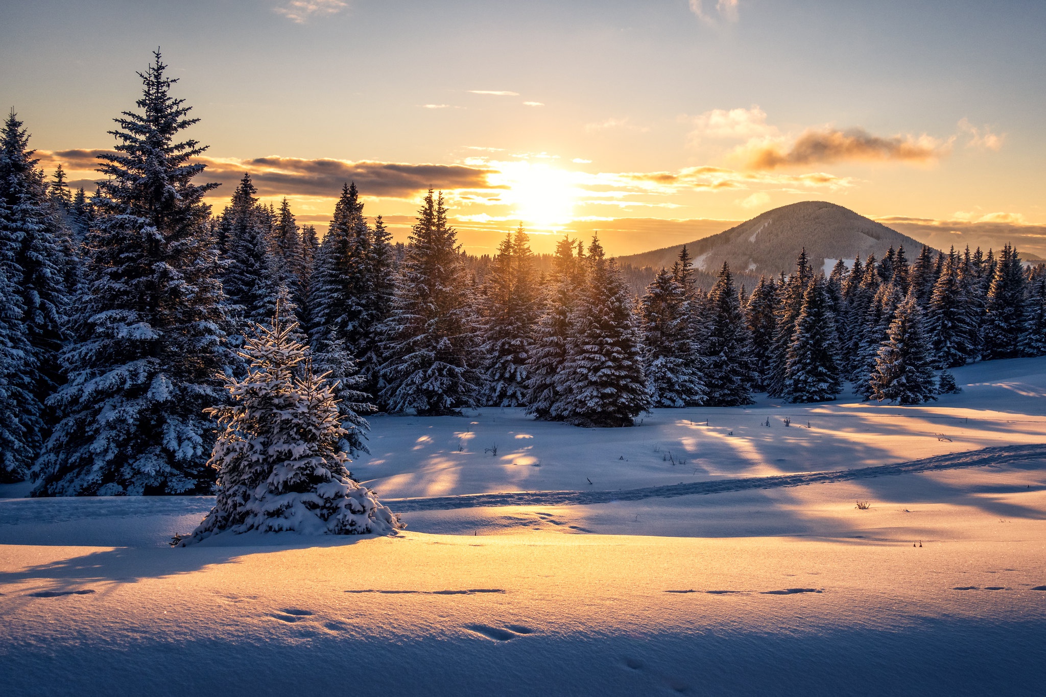 Скачати мобільні шпалери Зима, Природа, Сніг, Ліс, Австрія, Земля, Захід Сонця безкоштовно.