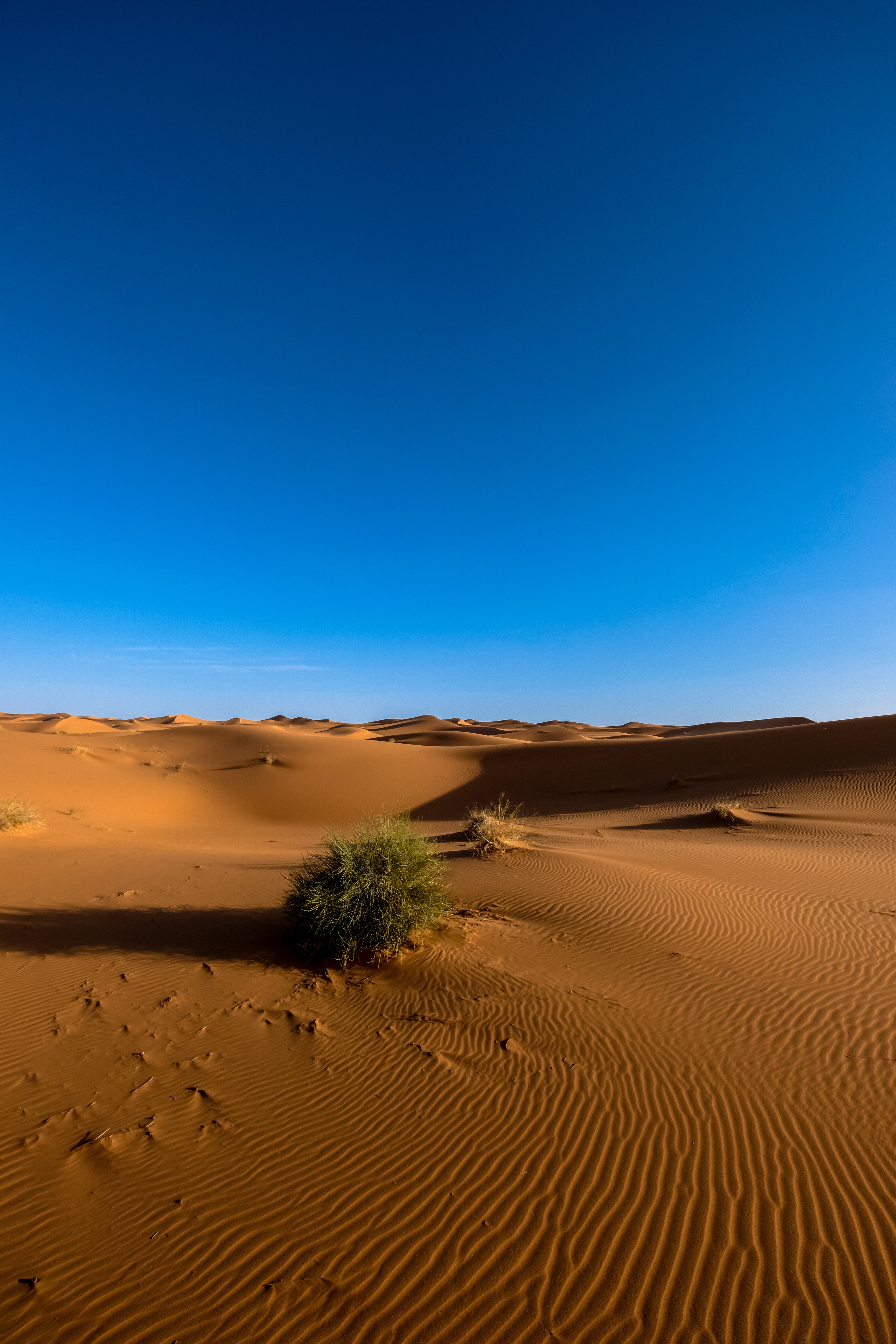 51734 скачать картинку пустыня, природа, небо, песок, сахара - обои и заставки бесплатно