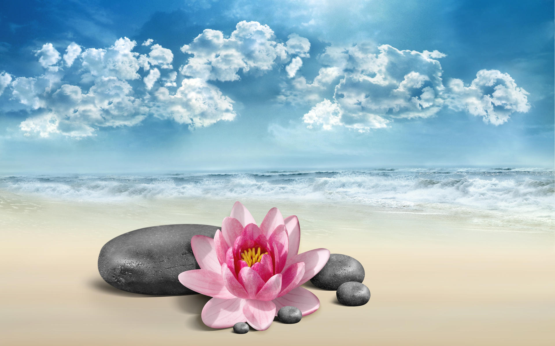Free download wallpaper Flowers, Background, Beach on your PC desktop