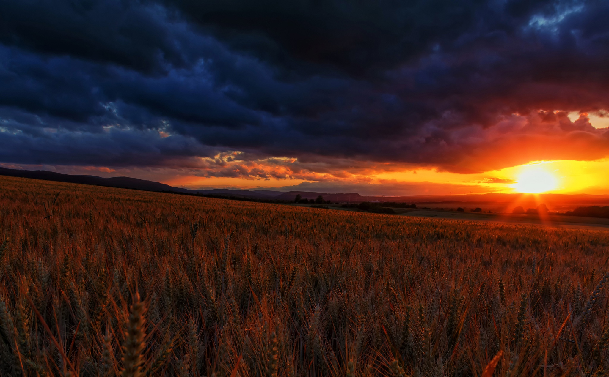Free download wallpaper Sunset, Sun, Summer, Wheat, Earth, Field, Cloud, Sunbeam on your PC desktop