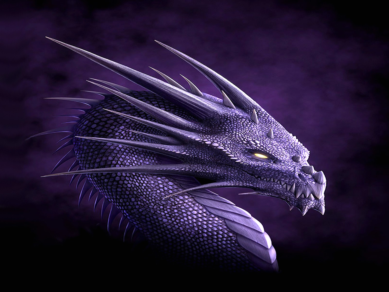 173617 descargar fondo de pantalla púrpura, dragón, fantasía: protectores de pantalla e imágenes gratis