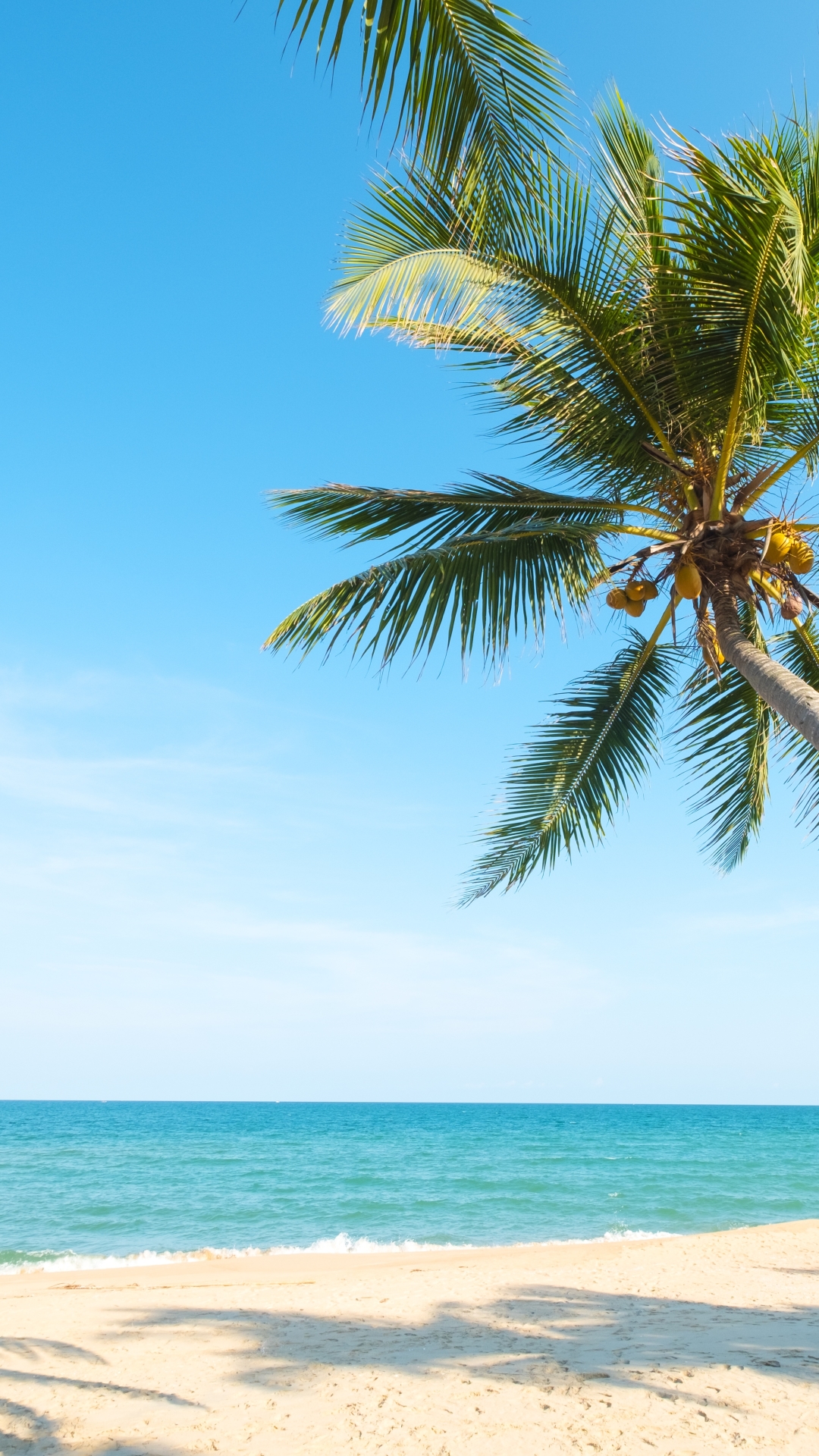 Download mobile wallpaper Nature, Sky, Beach, Sand, Horizon, Ocean, Earth, Palm Tree for free.