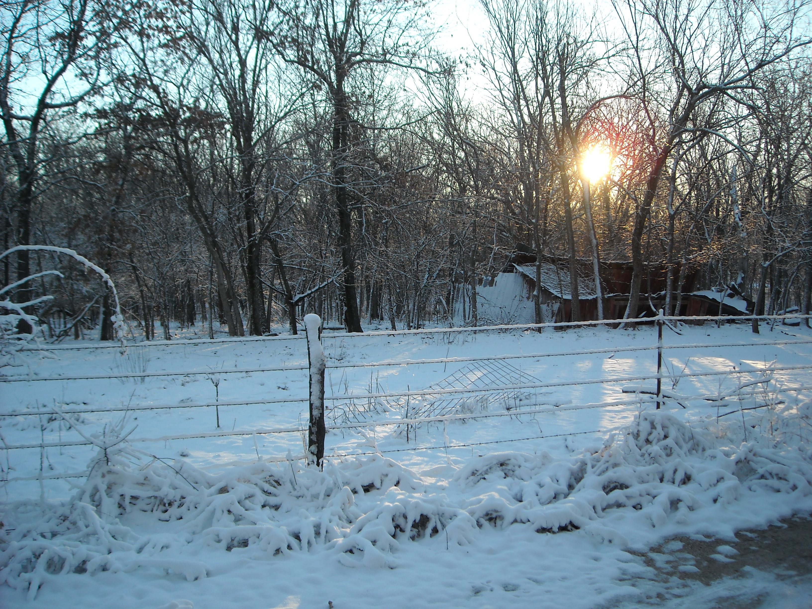 Download mobile wallpaper Winter, Fence, Photography for free.