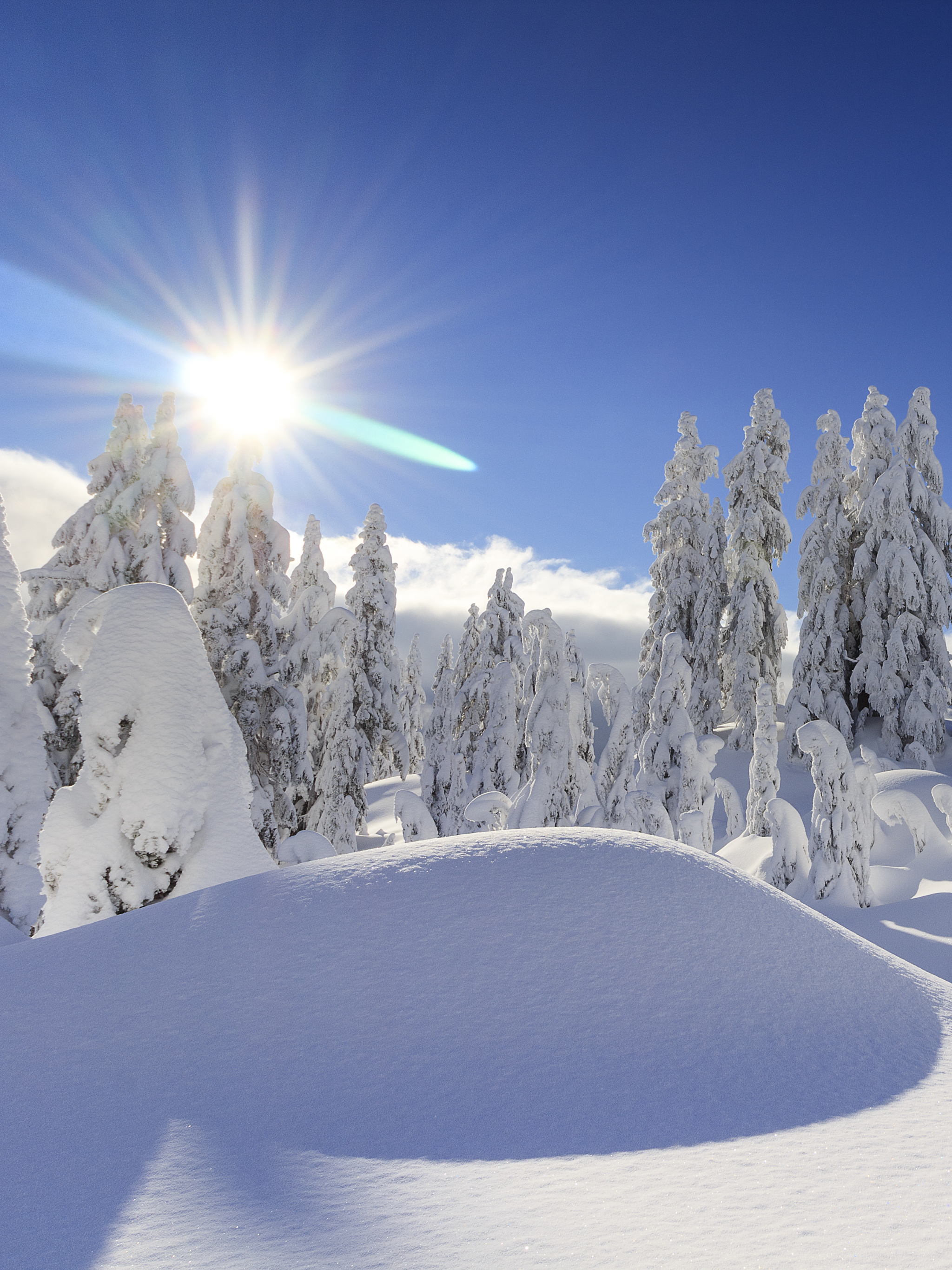 Download mobile wallpaper Winter, Nature, Snow, Canada, Earth for free.